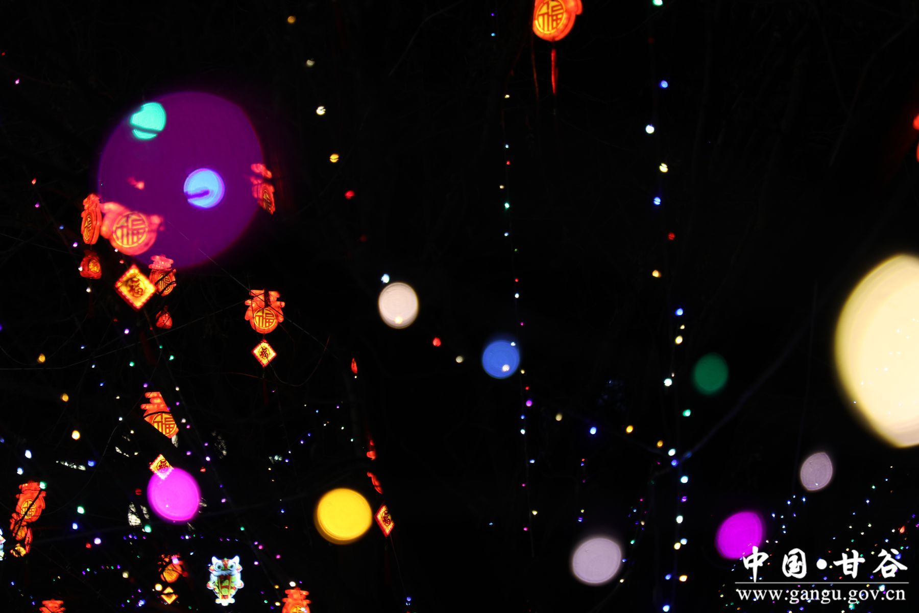 926A1549_副本 926A1549_副本