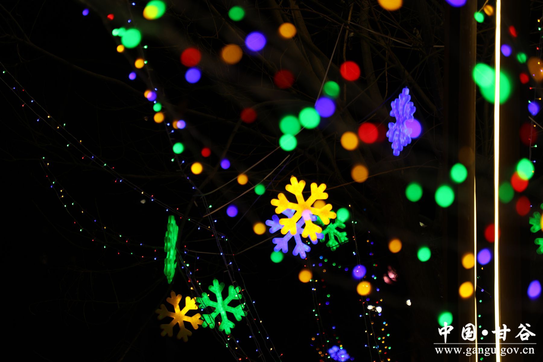 926A1682_副本 926A1682_副本