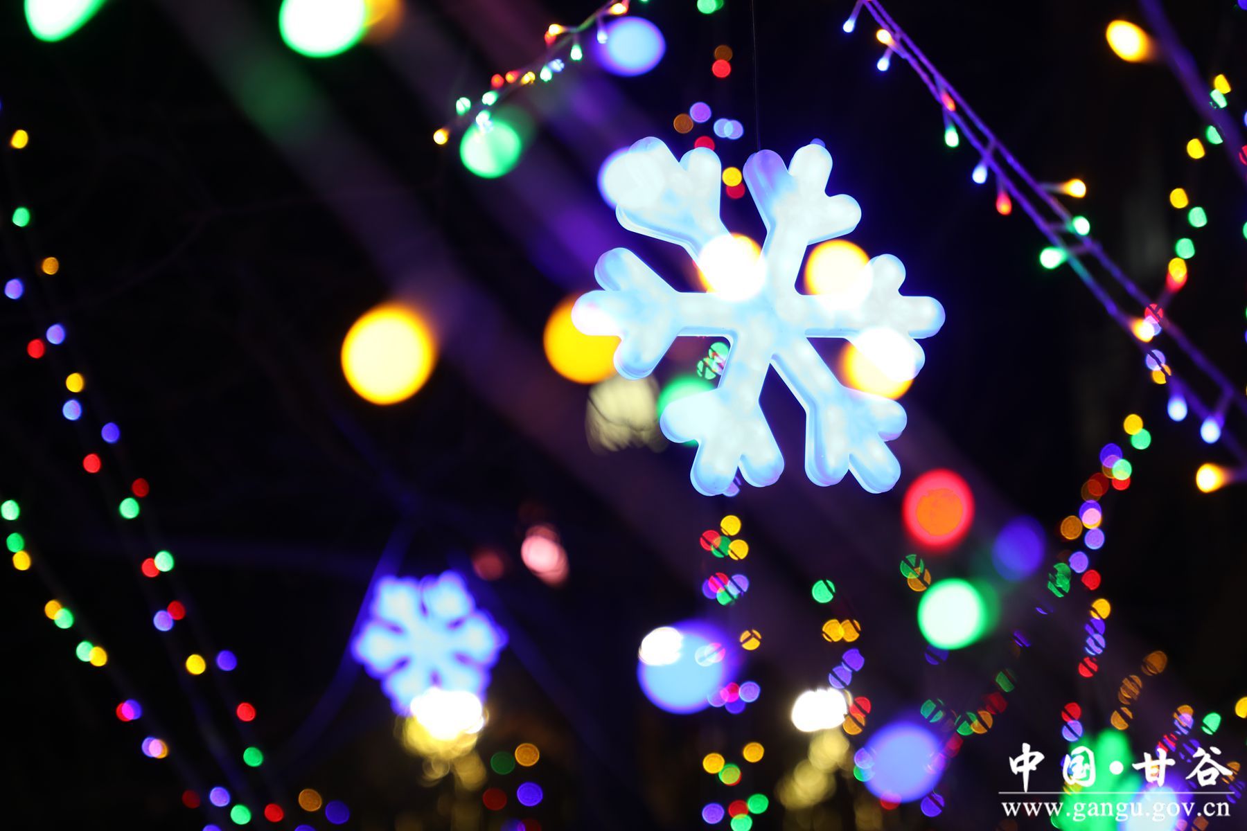 926A1678_副本 926A1678_副本