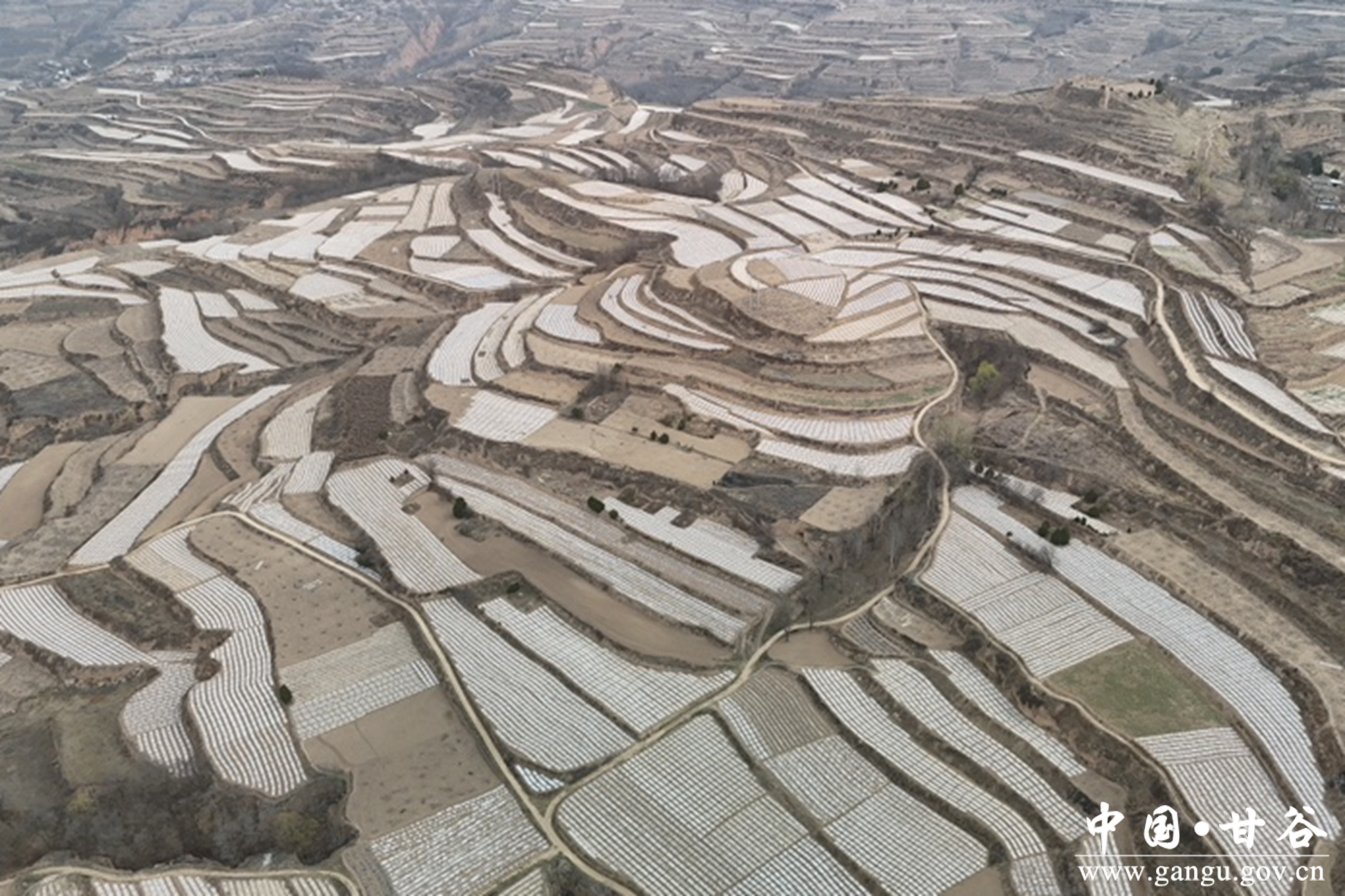 1881c335df044993b84d85a37361ab31 1881c335df044993b84d85a37361ab31