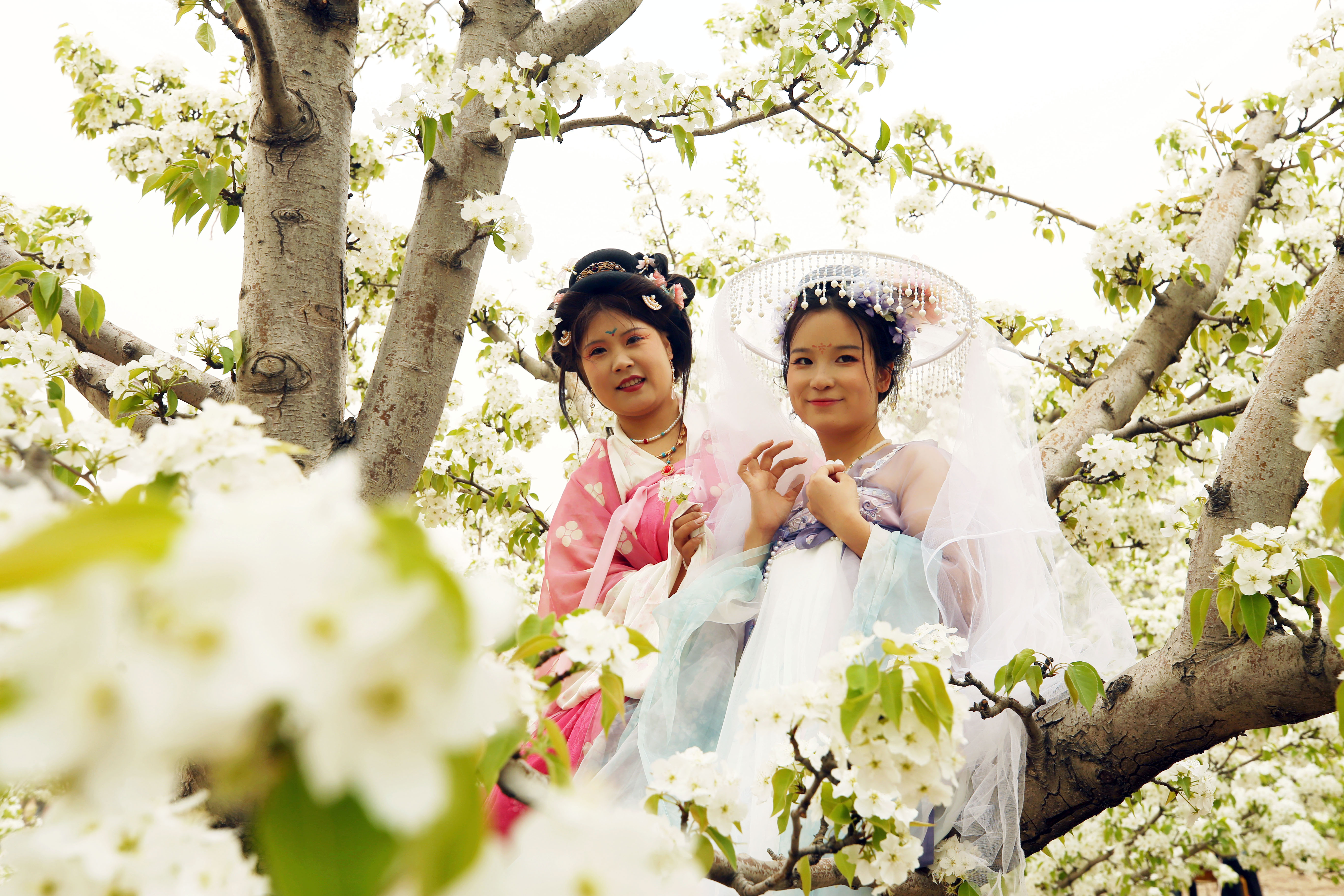 微信图片_20250418155326 微信图片_20250418155326