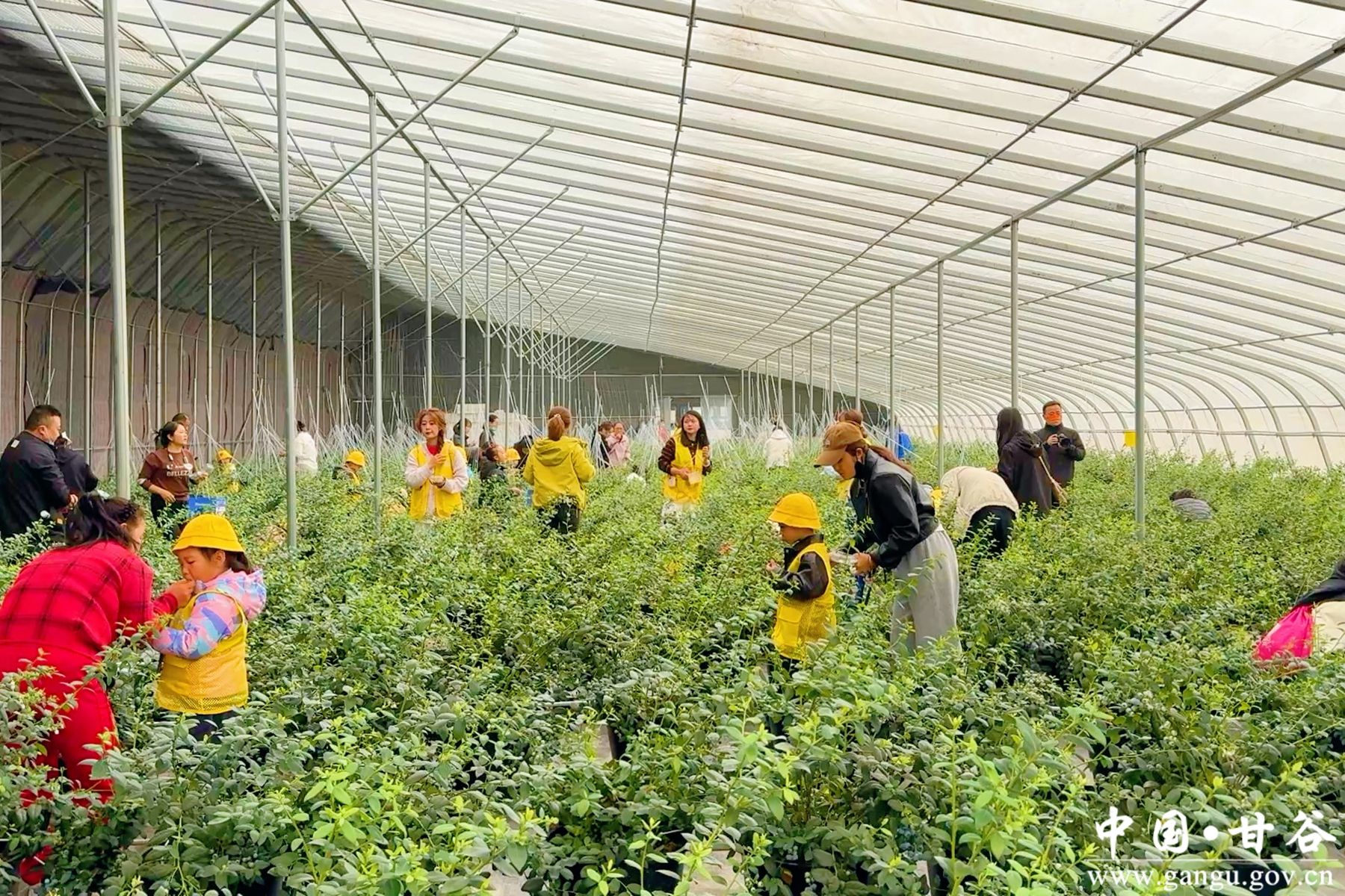 微信图片_20250412154602 微信图片_20250412154602