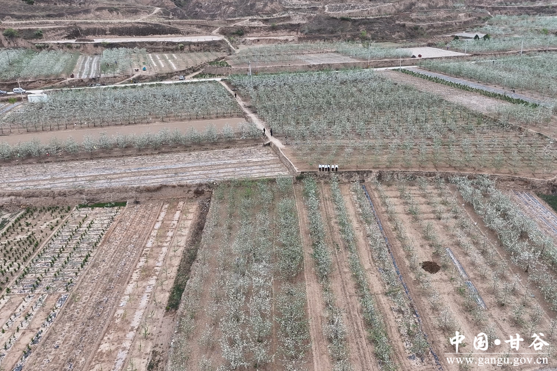 微信图片_20250422182102 微信图片_20250422182102