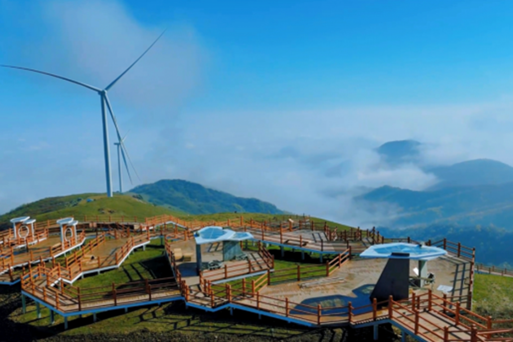 2025年综述稿件165 2025年综述稿件165