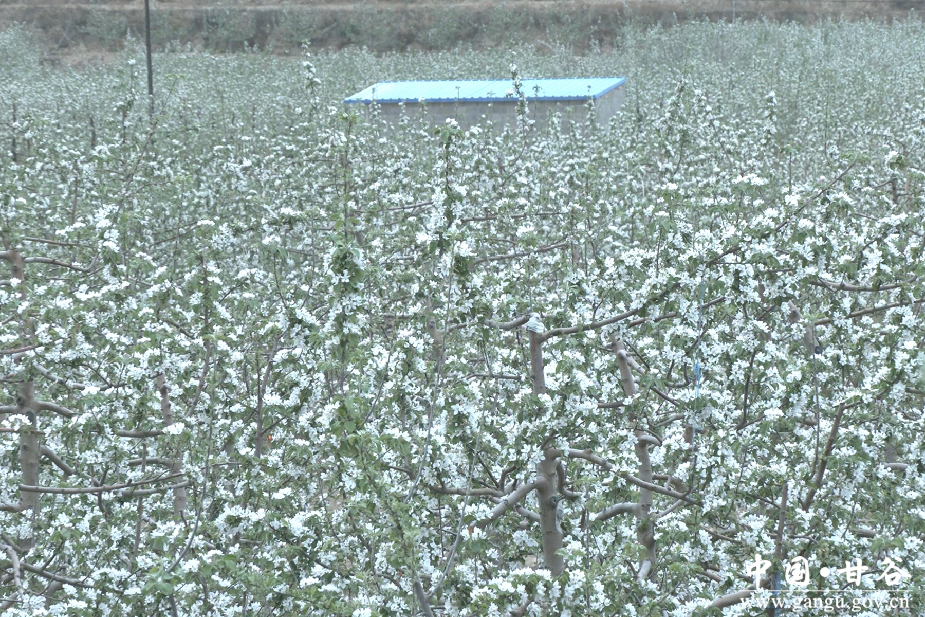 微信图片_20250422181902 微信图片_20250422181902