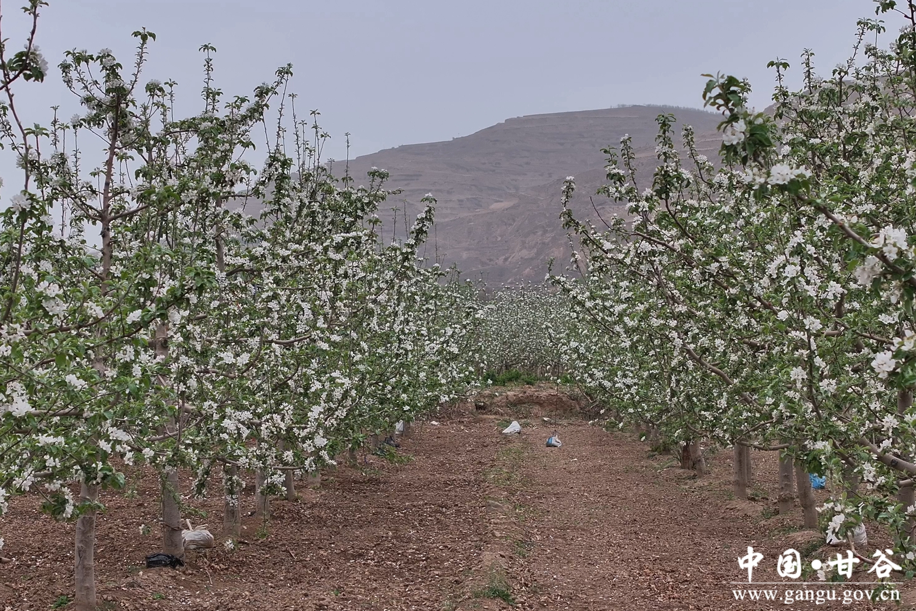 微信图片_20250422182023 微信图片_20250422182023