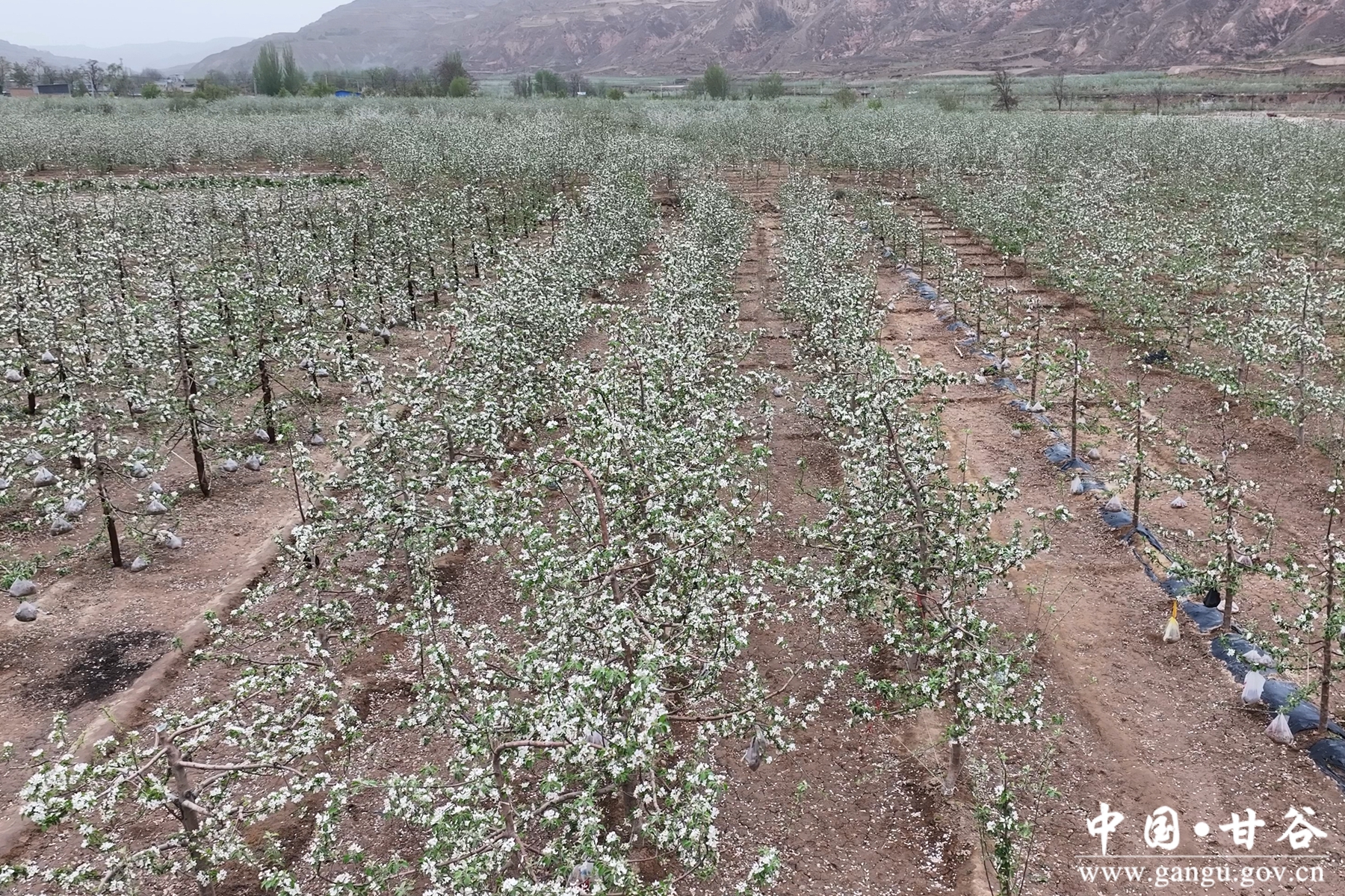 微信图片_20250422182010 微信图片_20250422182010