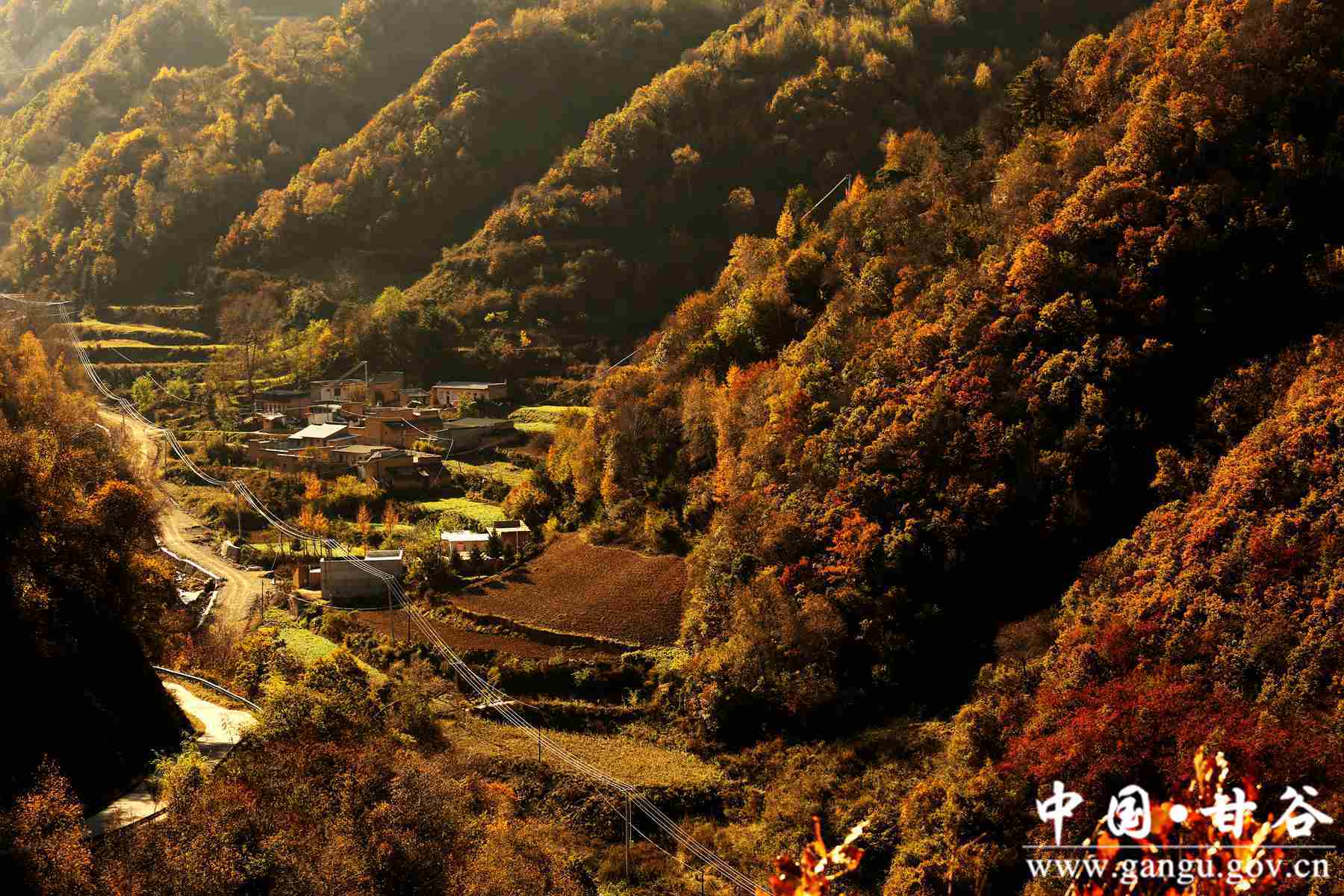 靳宝生 (3) 靳宝生 (3)