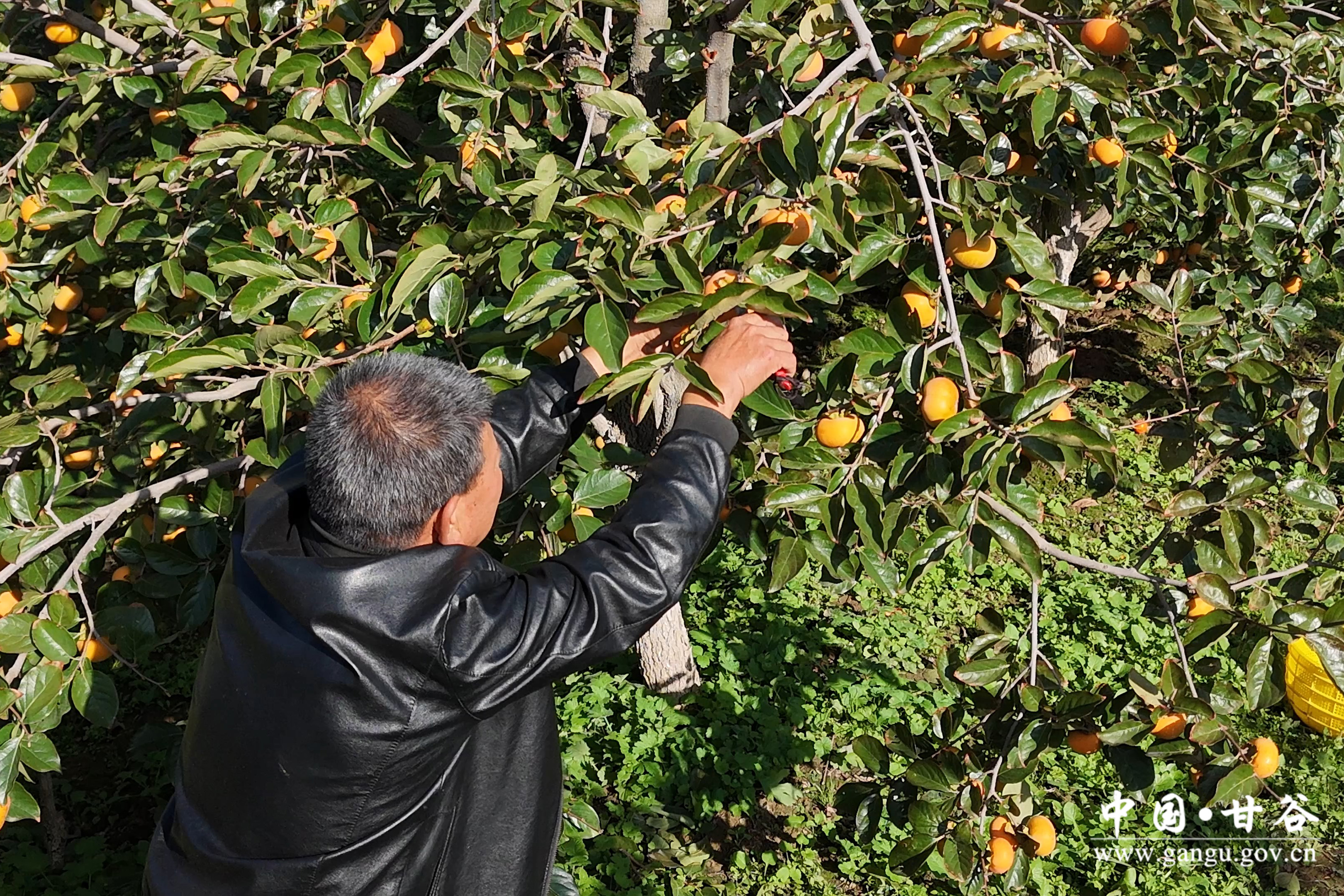 1729649353976017587.jpg 1729649353976017587.jpg