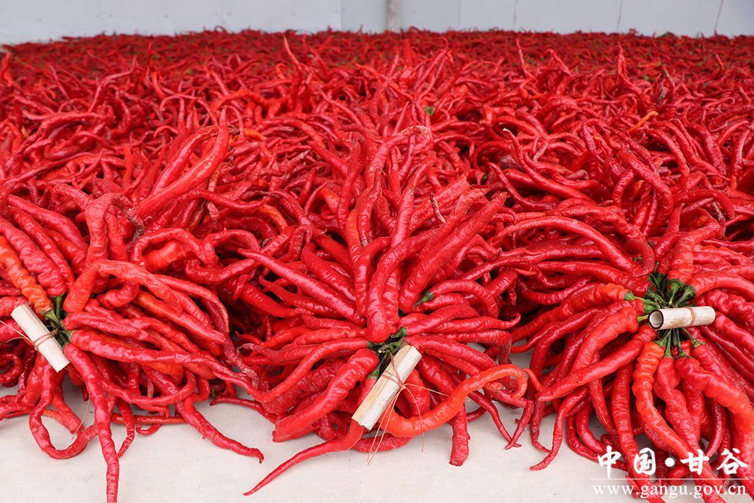 1710585229244087059.jpg 1710585229244087059.jpg