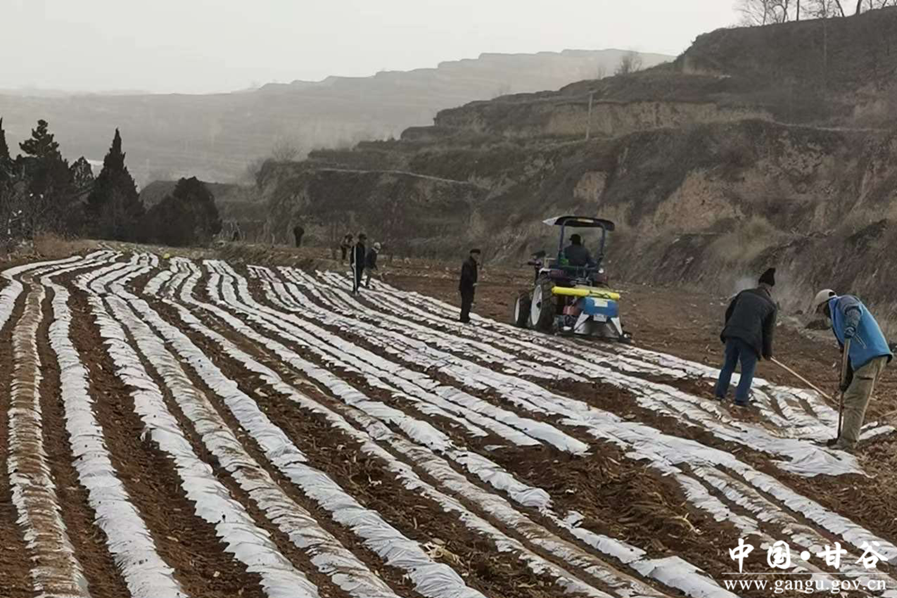 d04ac7dd9c674c8a914a0392f637dce6 d04ac7dd9c674c8a914a0392f637dce6