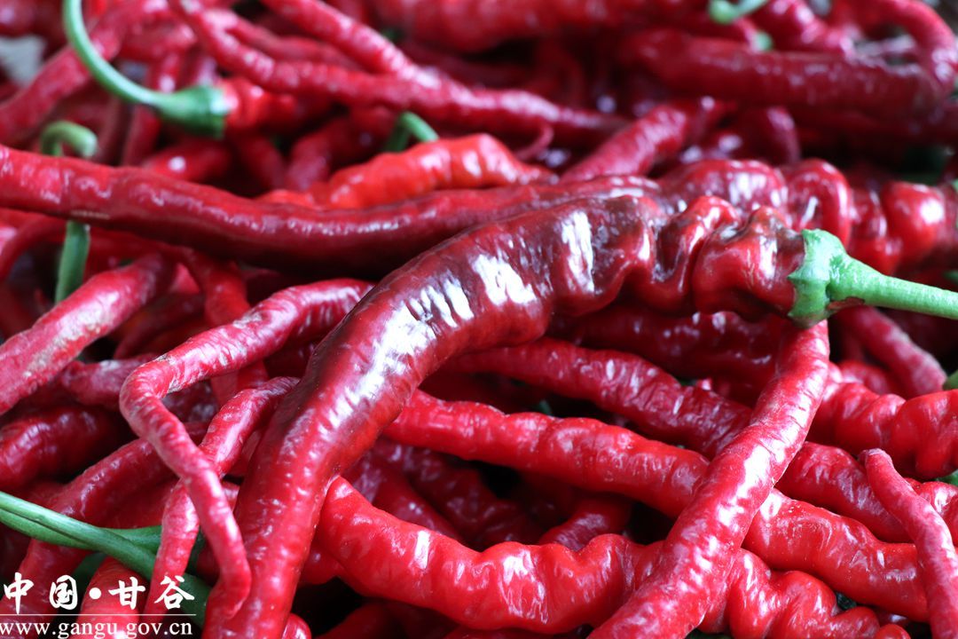 1710585383463063251.jpg 1710585383463063251.jpg