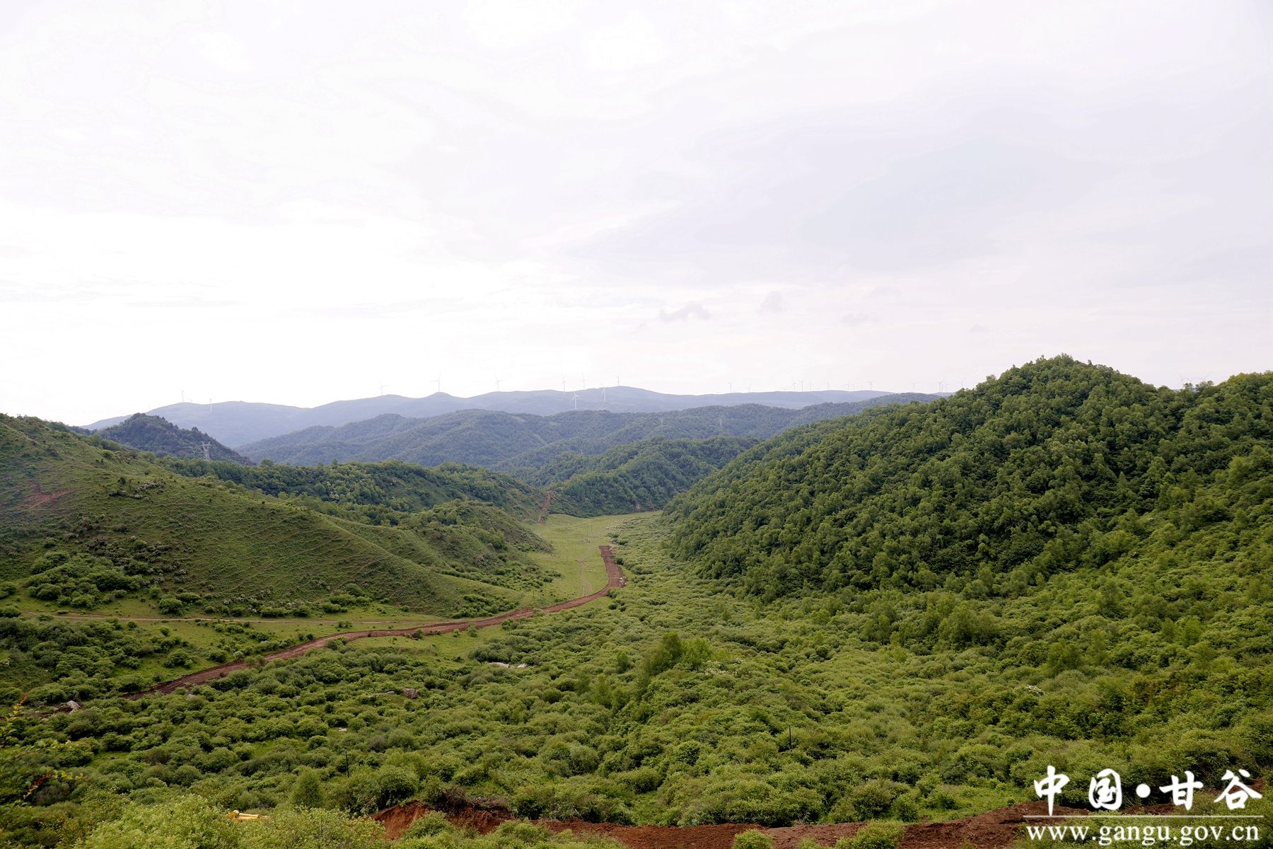 微信图片_20240702173326 微信图片_20240702173326