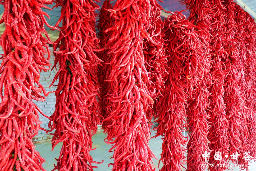 1710585263923008385.jpg 1710585263923008385.jpg