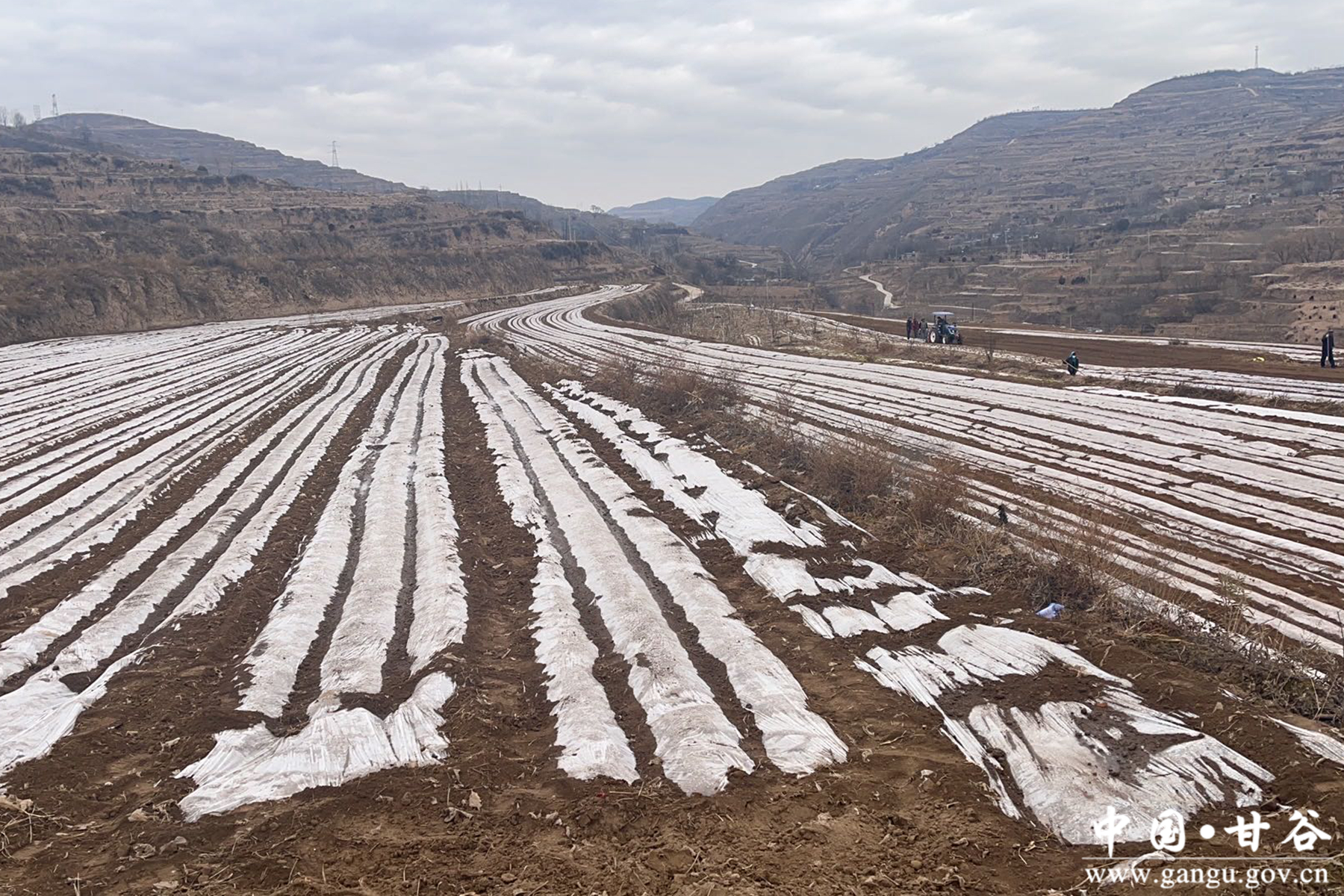 d7a2772de4674b818d999d77d2ae5024 d7a2772de4674b818d999d77d2ae5024