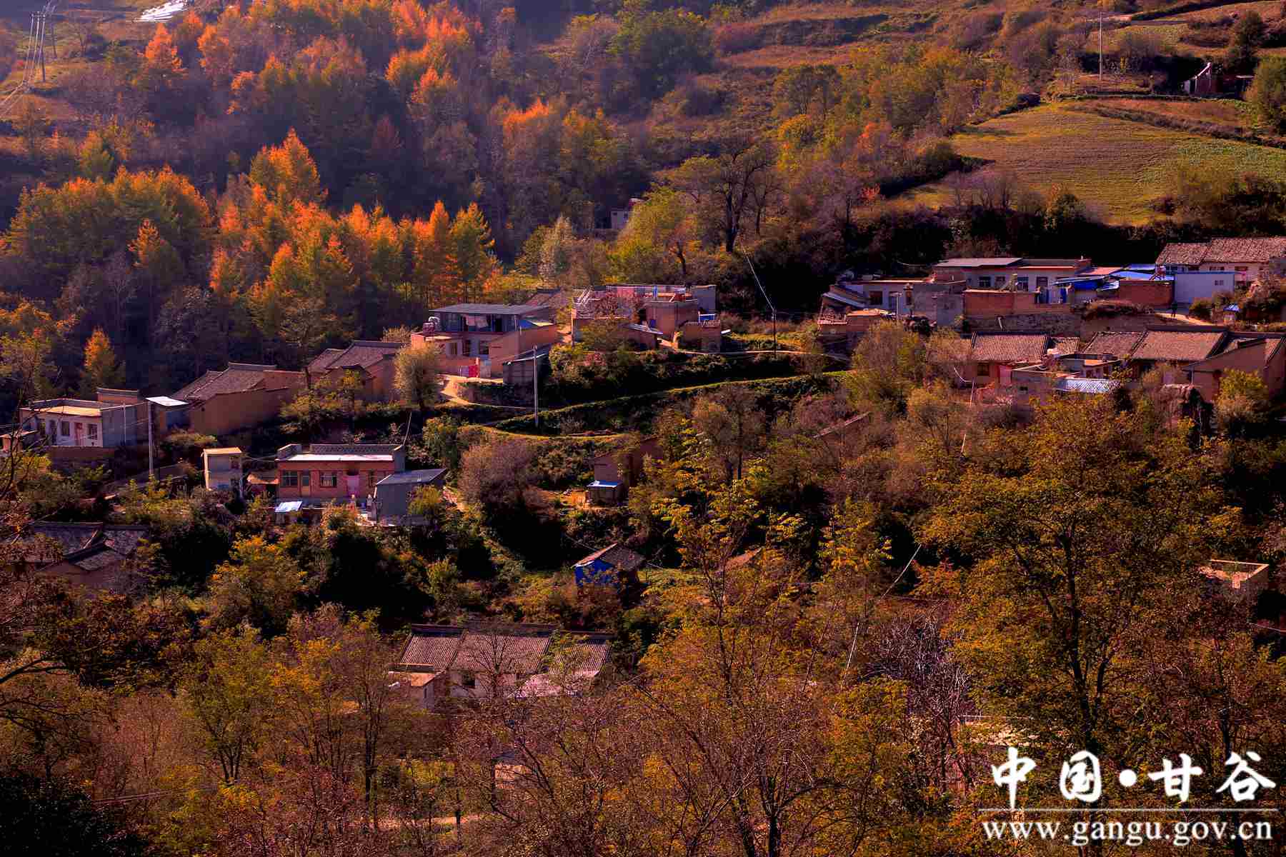 靳宝生 (2) 靳宝生 (2)