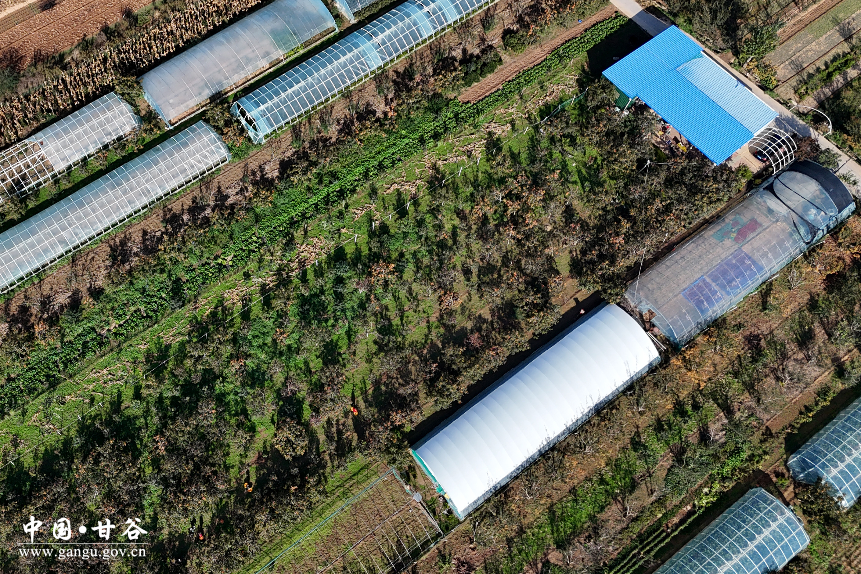 1729649531777083661.jpg 1729649531777083661.jpg