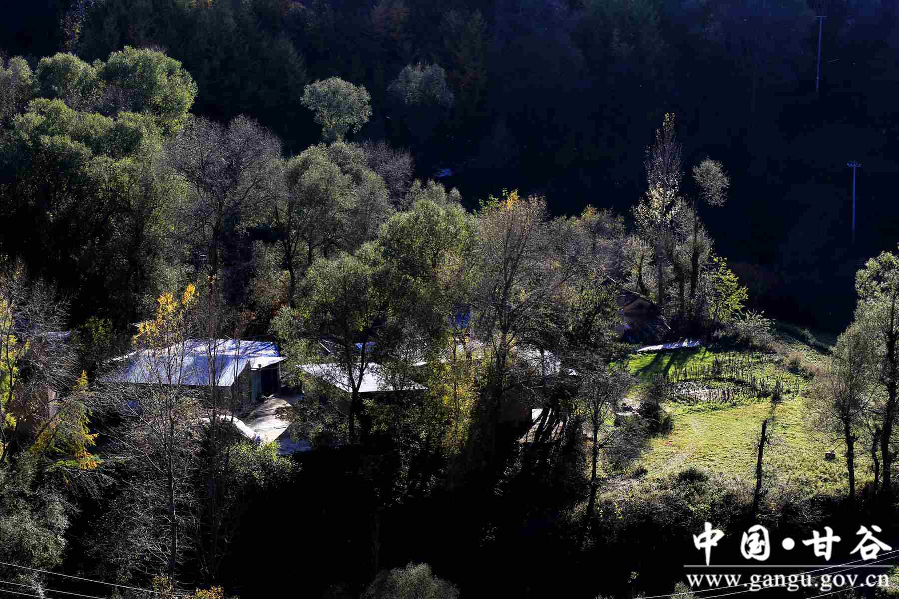 靳宝生 (5) 靳宝生 (5)