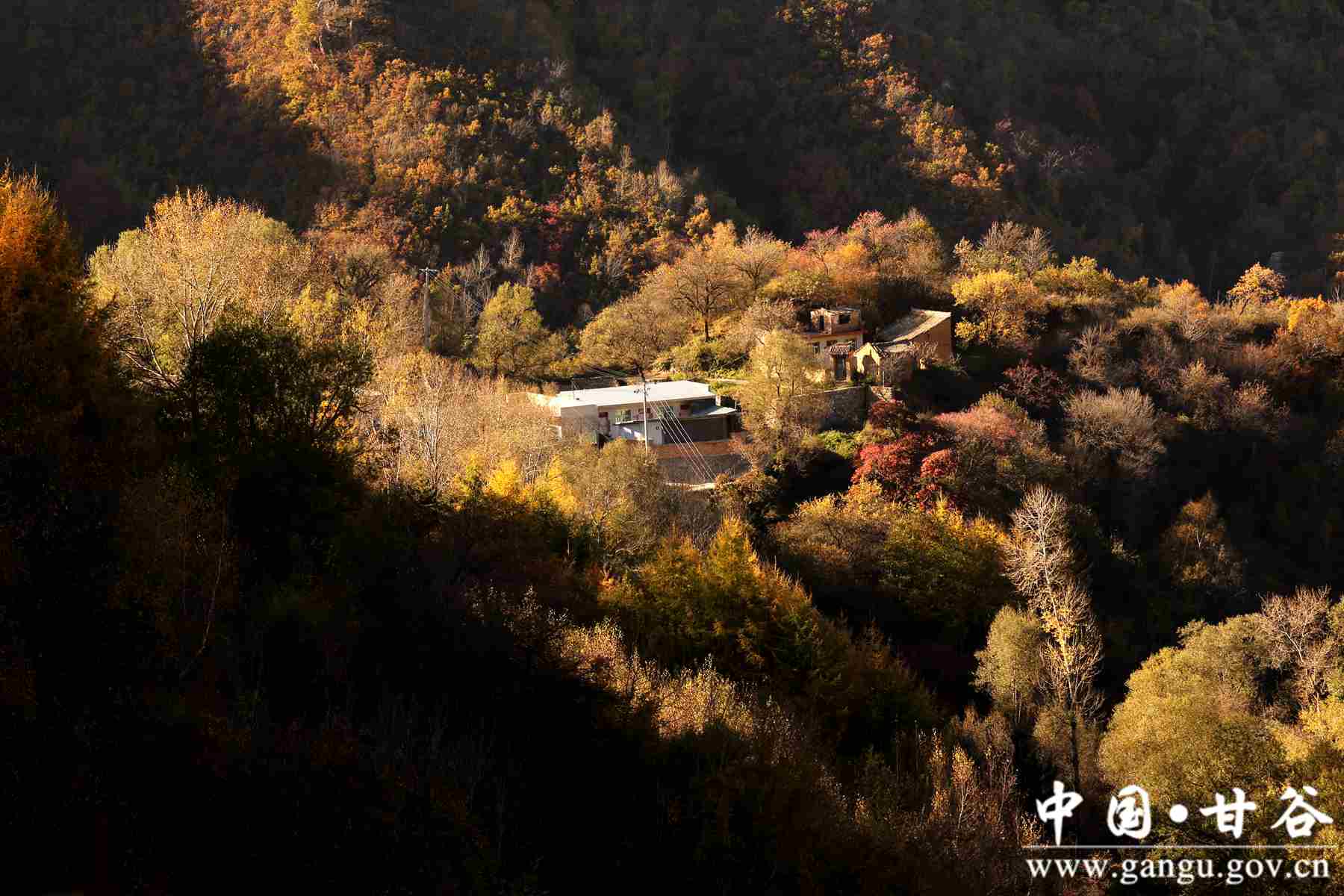 靳宝生 (4) 靳宝生 (4)