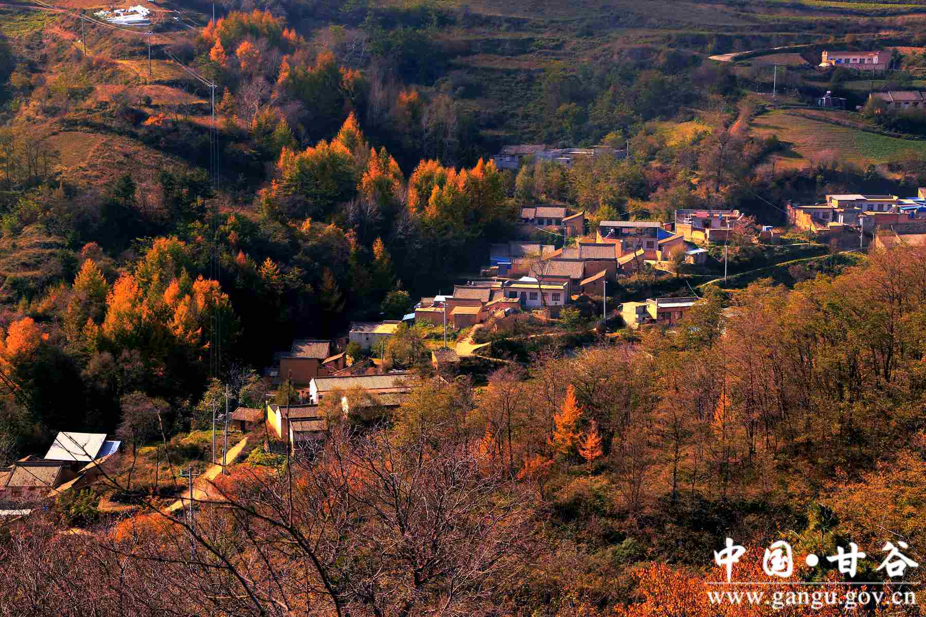 靳宝生 (9) 靳宝生 (9)