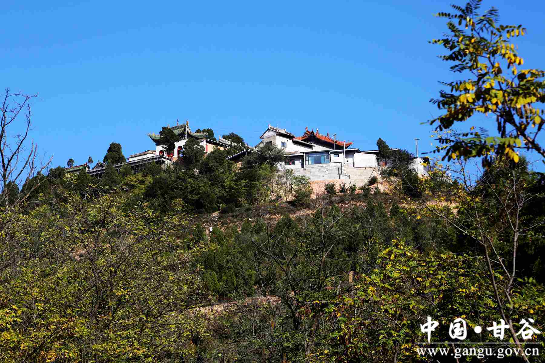 靳宝生 (12) 靳宝生 (12)