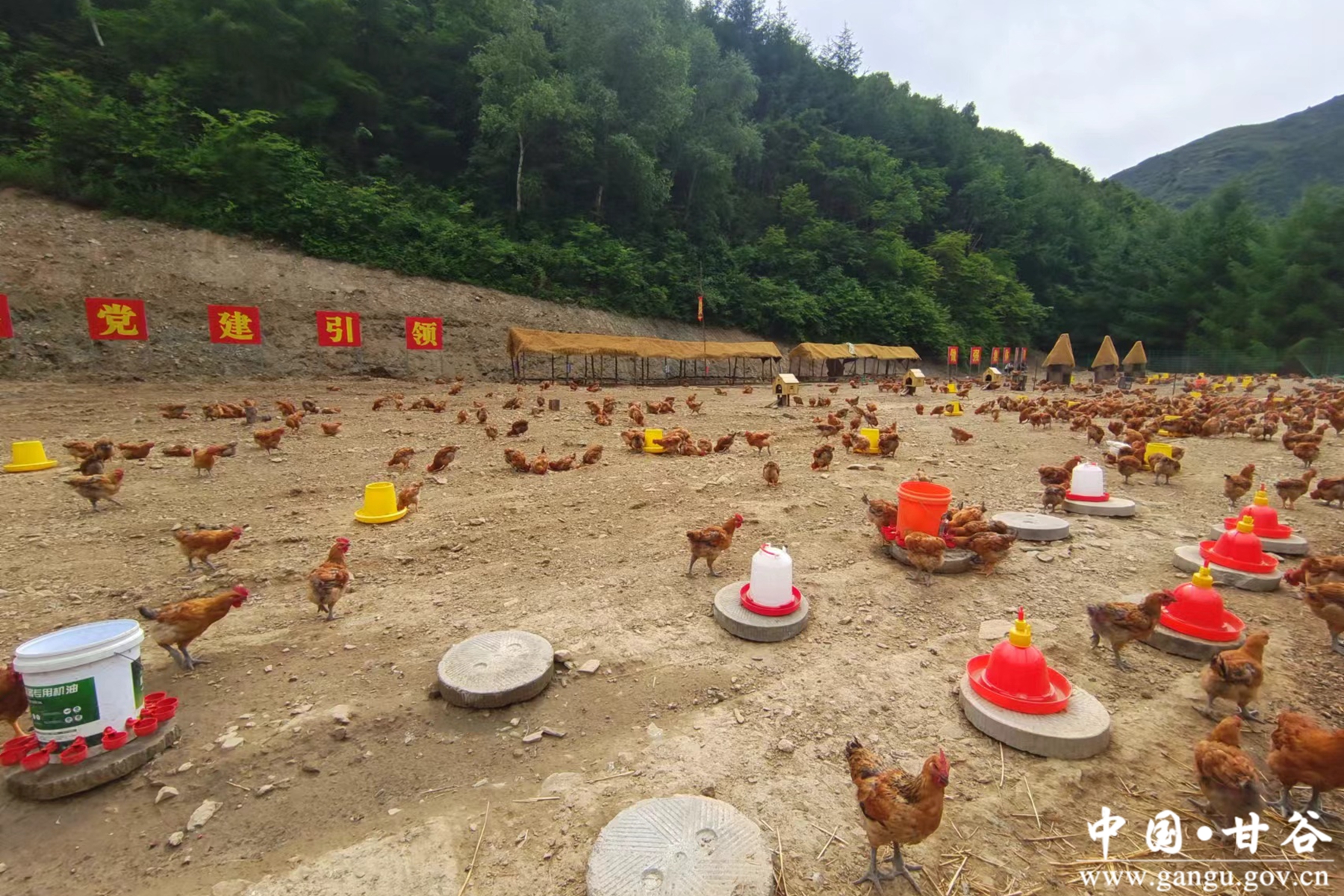 武家河2 武家河2