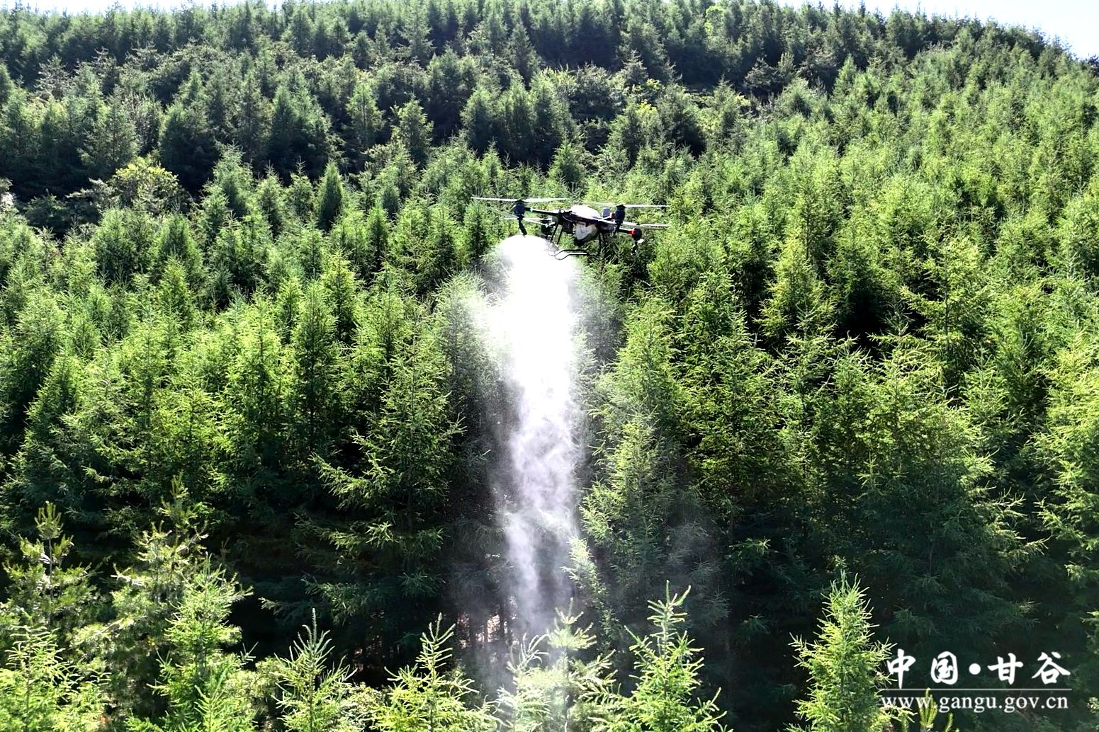 1718352527622016862.jpg 1718352527622016862.jpg