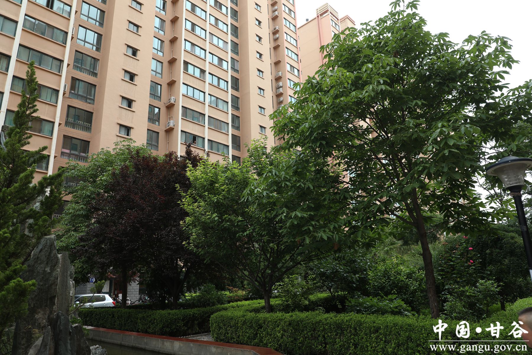 926A2306_副本 926A2306_副本