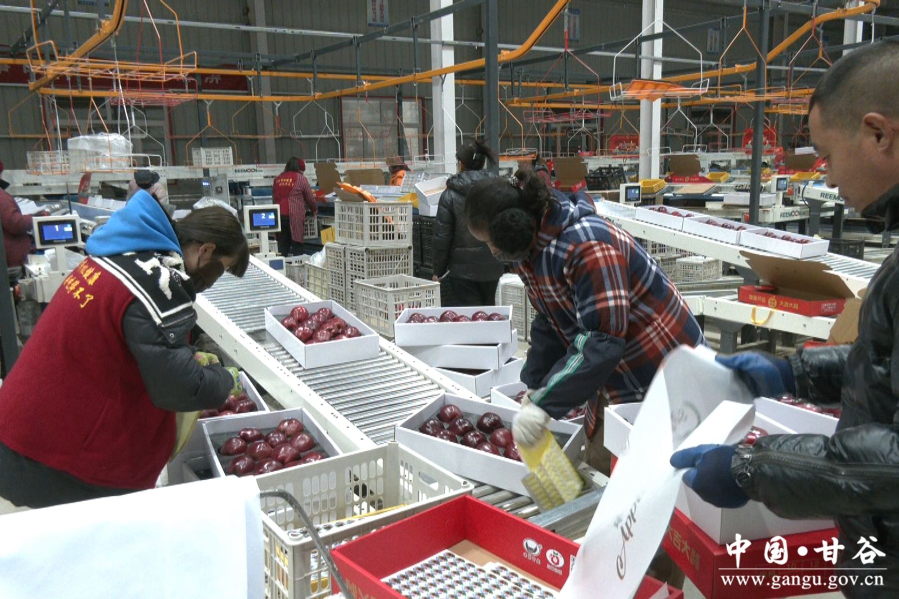 virtual_resource_file (37)