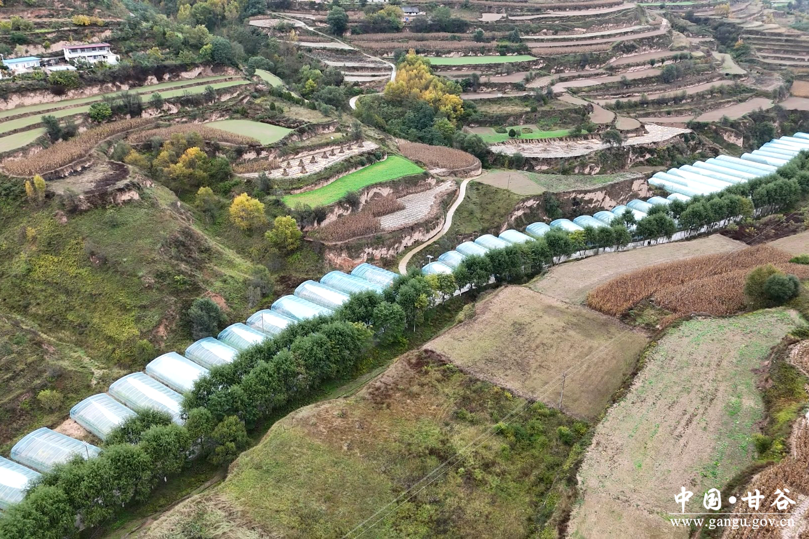 1760948710810006934.jpg 1760948710810006934.jpg