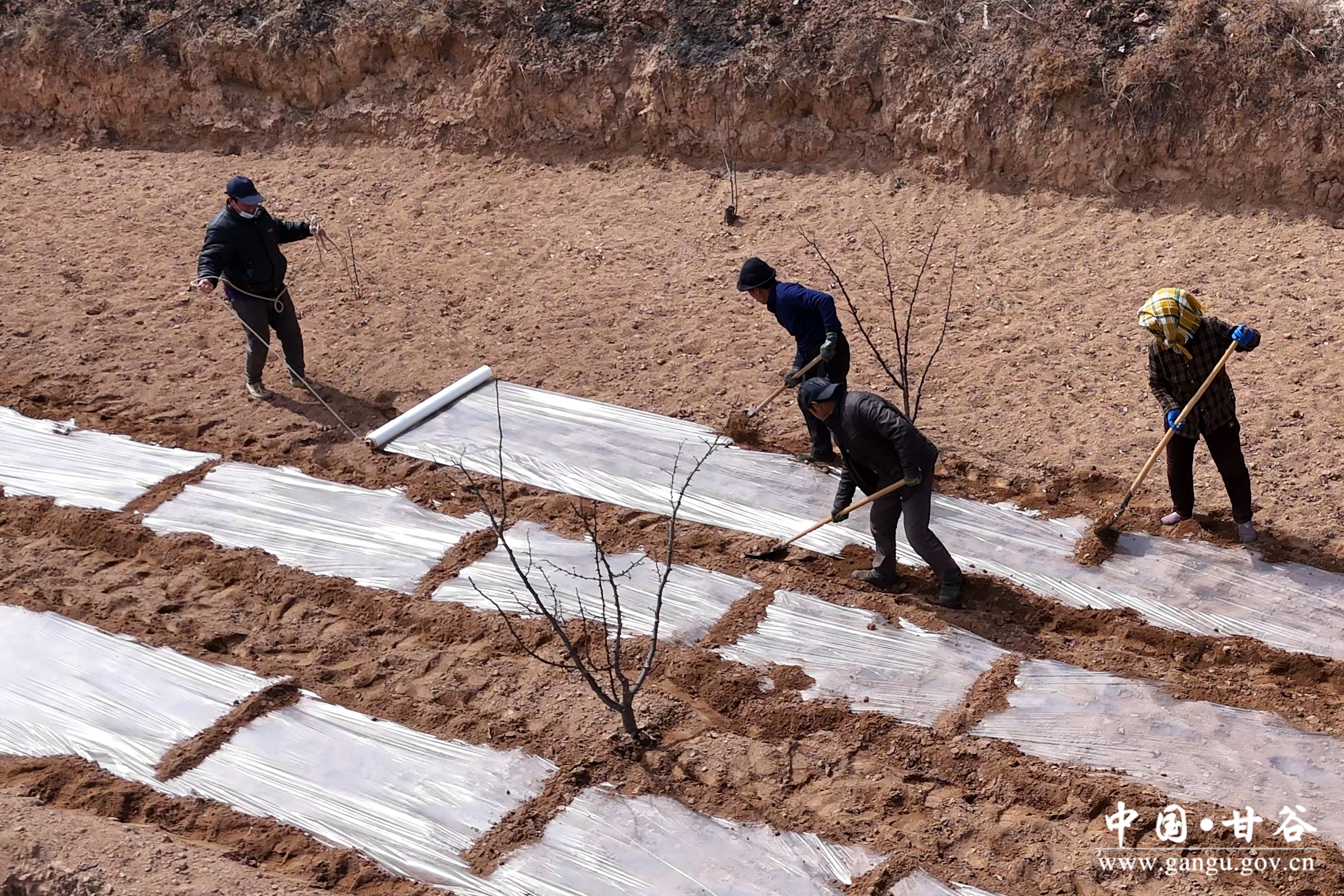 1742265834631000172.jpg 1742265834631000172.jpg