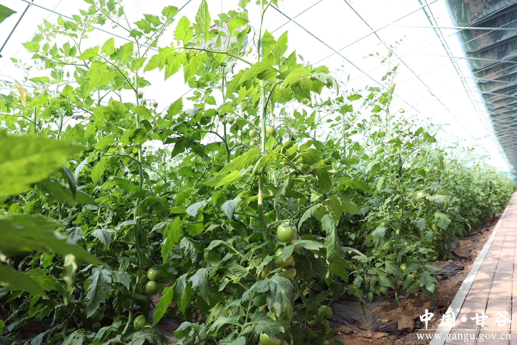 微信图片_20240322182110 微信图片_20240322182110