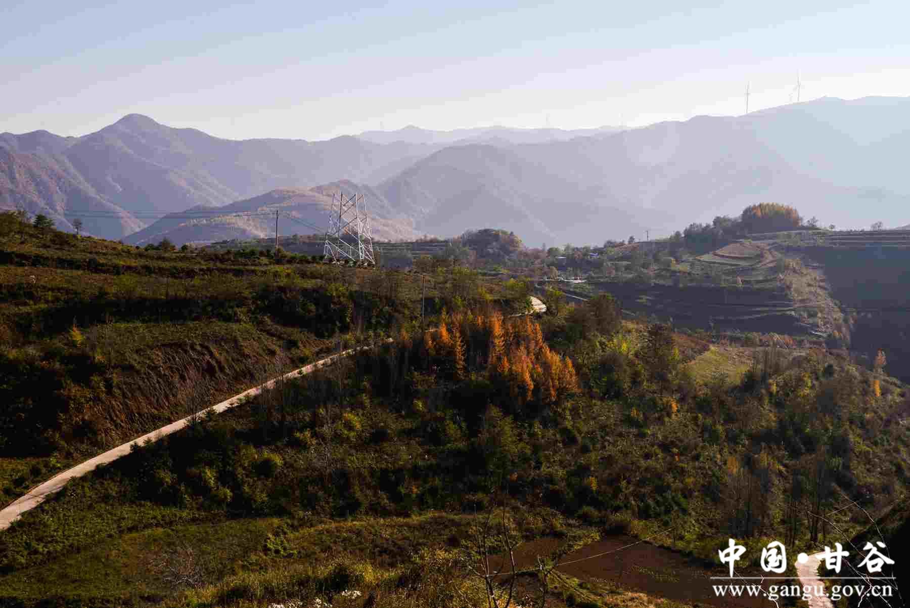 巩建平 (14) 巩建平 (14)