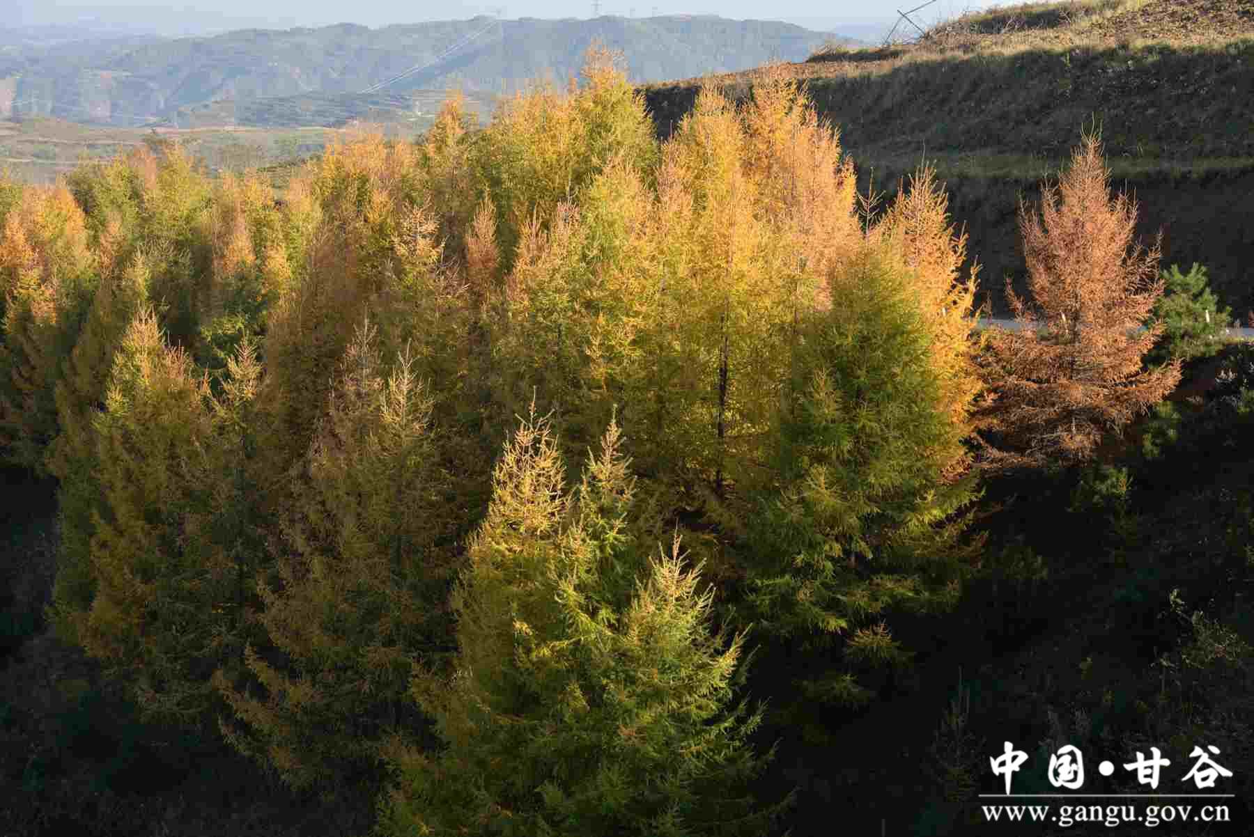 巩建平 (15) 巩建平 (15)