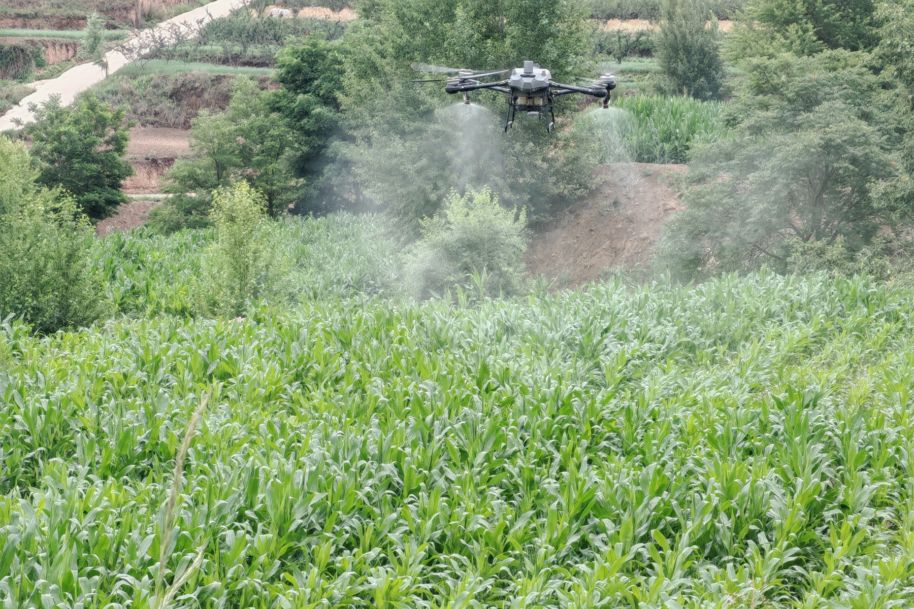 1.33_副本 1.33_副本