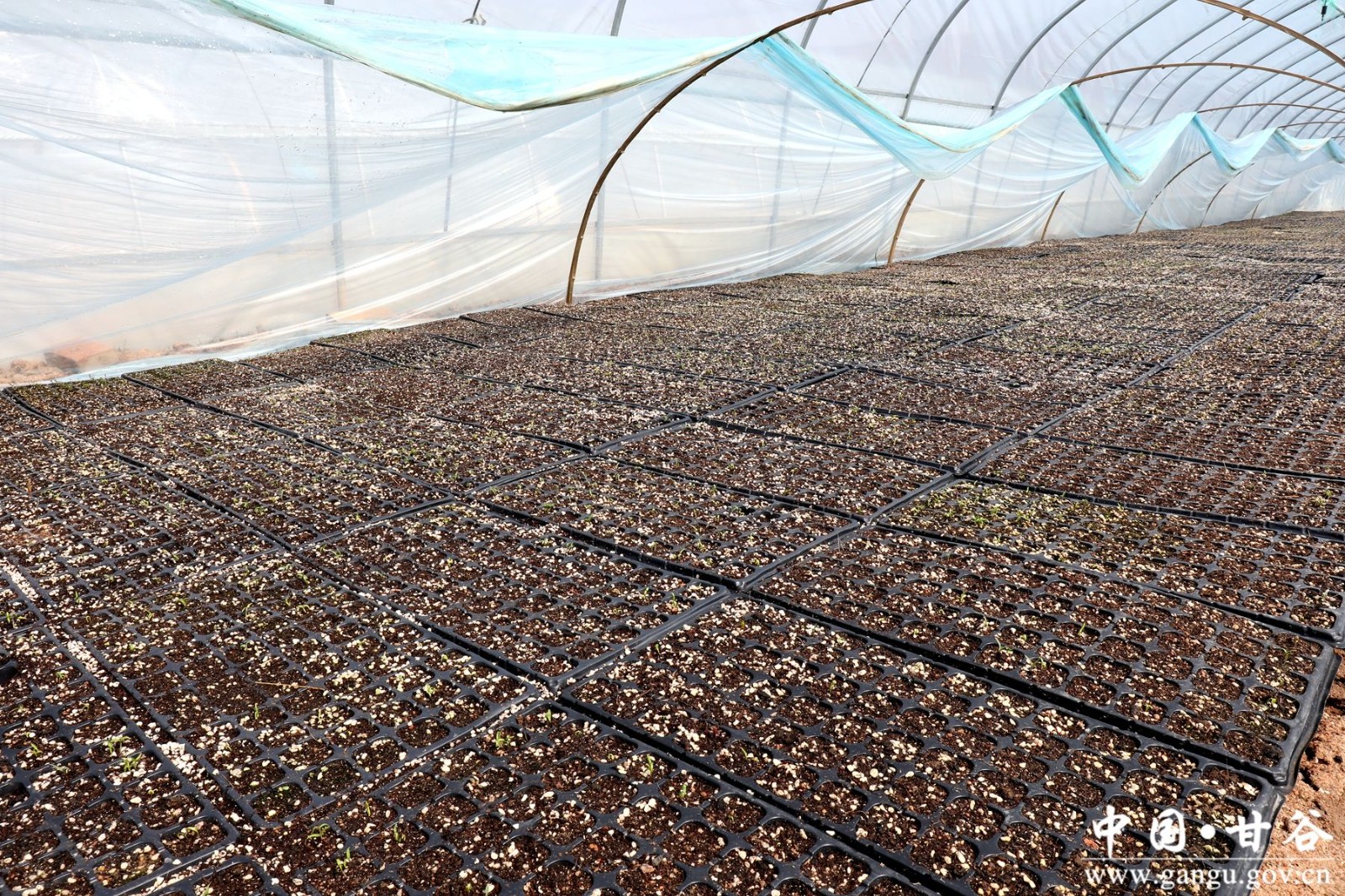 微信图片_20240322182047 微信图片_20240322182047