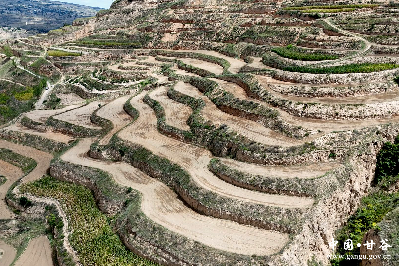 1756713114750075426.jpg 1756713114750075426.jpg