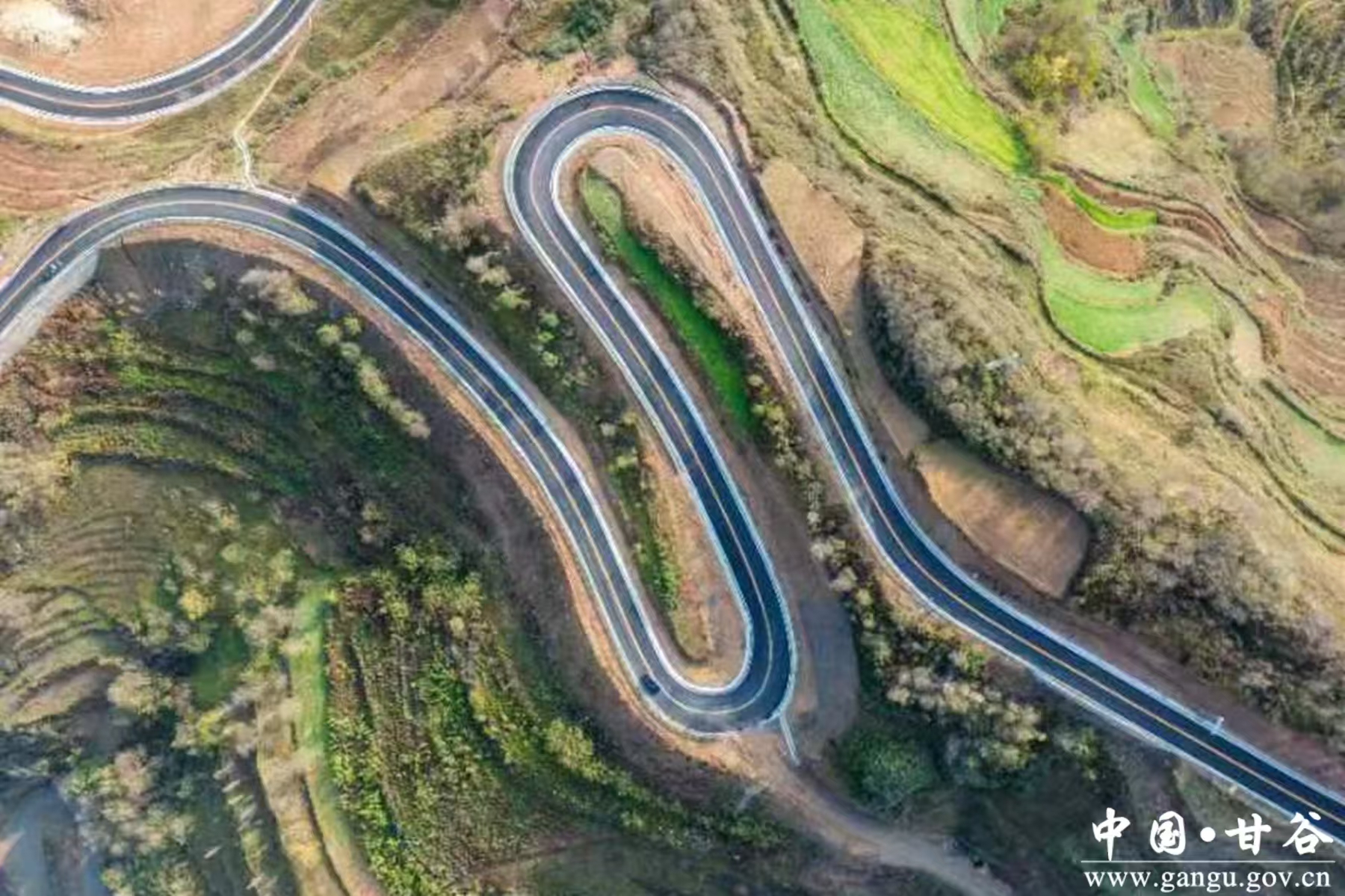 1736757853168055958.jpg 1736757853168055958.jpg