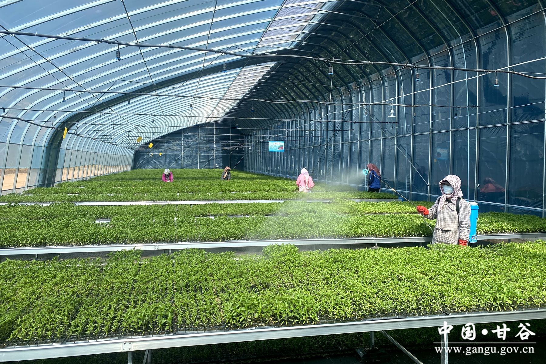 c8ec0dcf051f4a99b2fed8eeea6171cd c8ec0dcf051f4a99b2fed8eeea6171cd