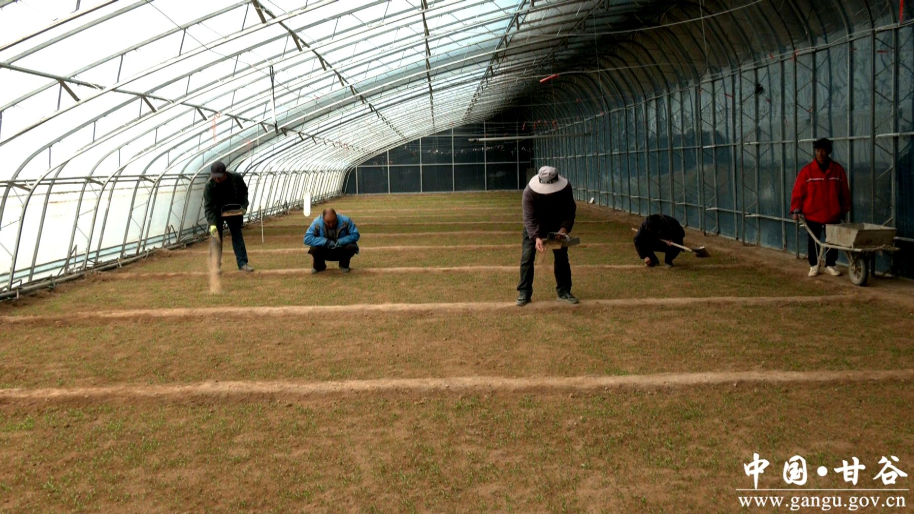 微信图片_20250312115203 微信图片_20250312115203