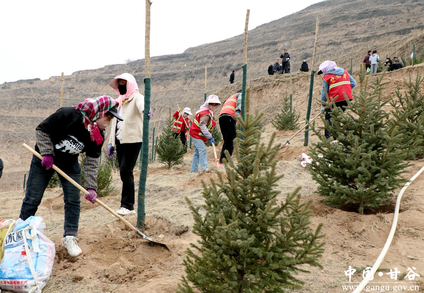 微信图片_20250312143012 微信图片_20250312143012