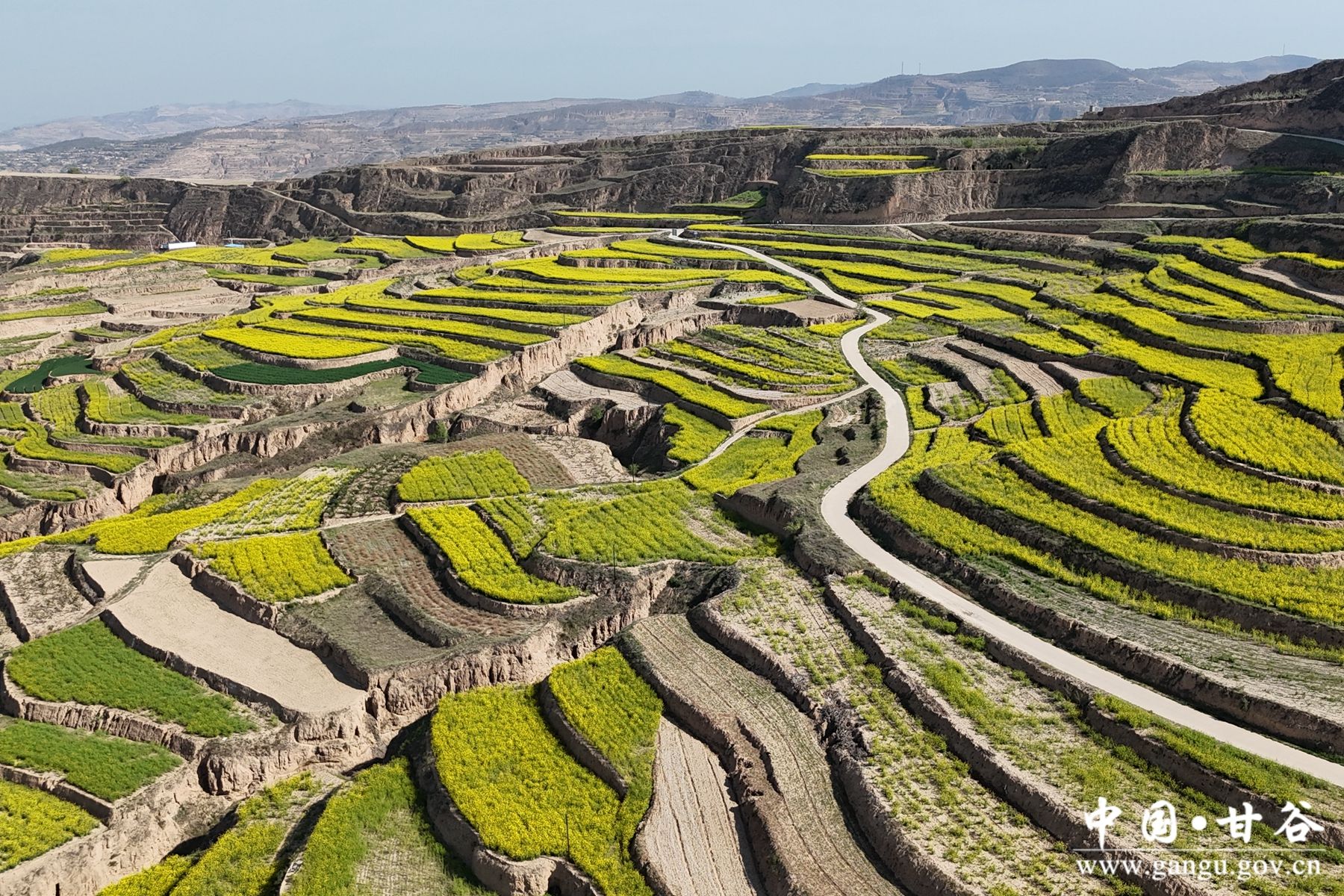 1714122153267006382 1714122153267006382