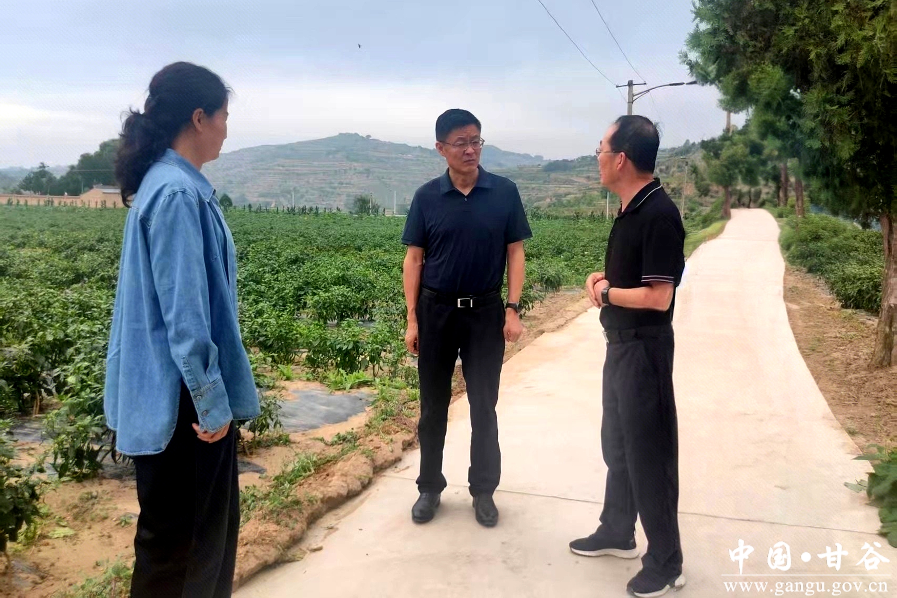 微信图片_20250811024527 微信图片_20250811024527