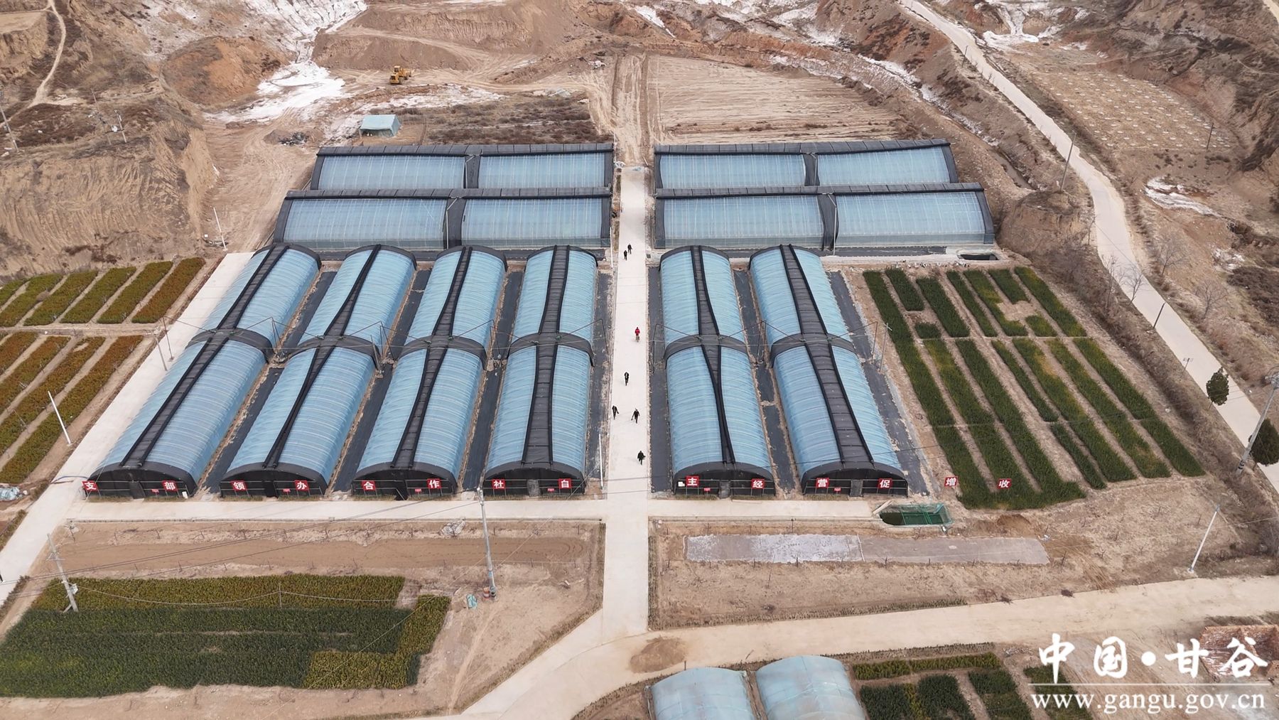 微信图片_20250312115206 微信图片_20250312115206