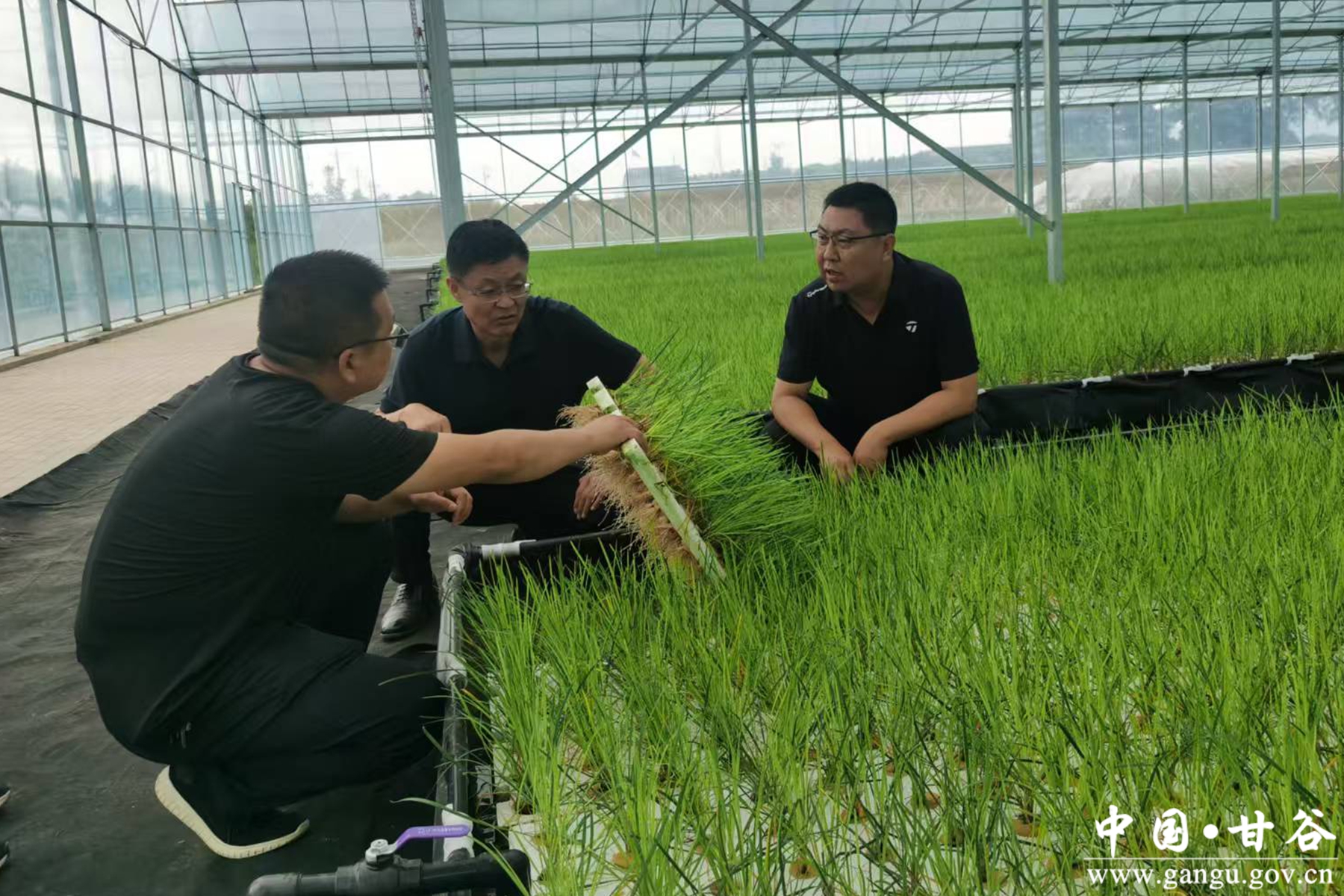 微信图片_20250811095111 微信图片_20250811095111