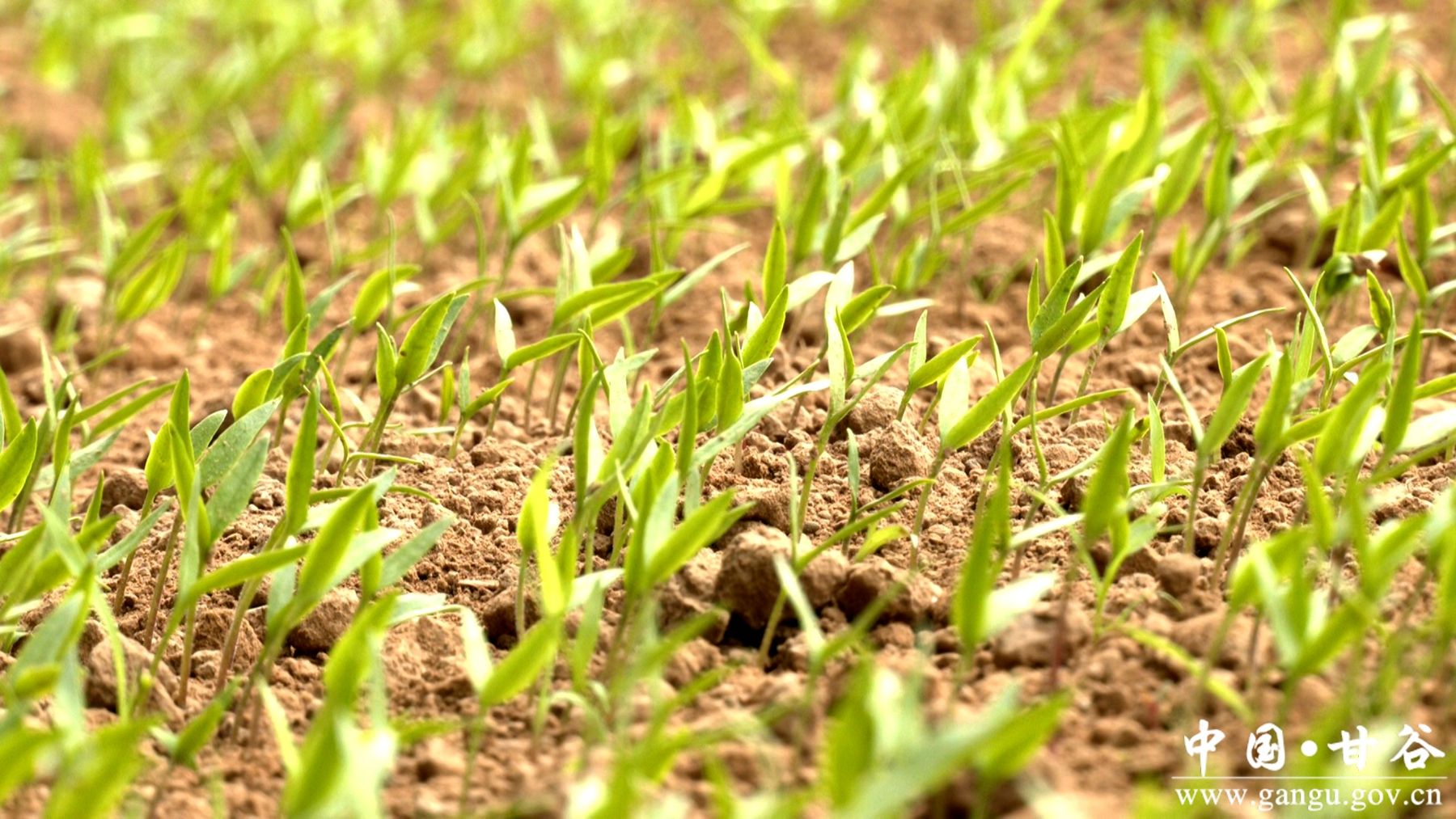 微信图片_20250312115201 微信图片_20250312115201