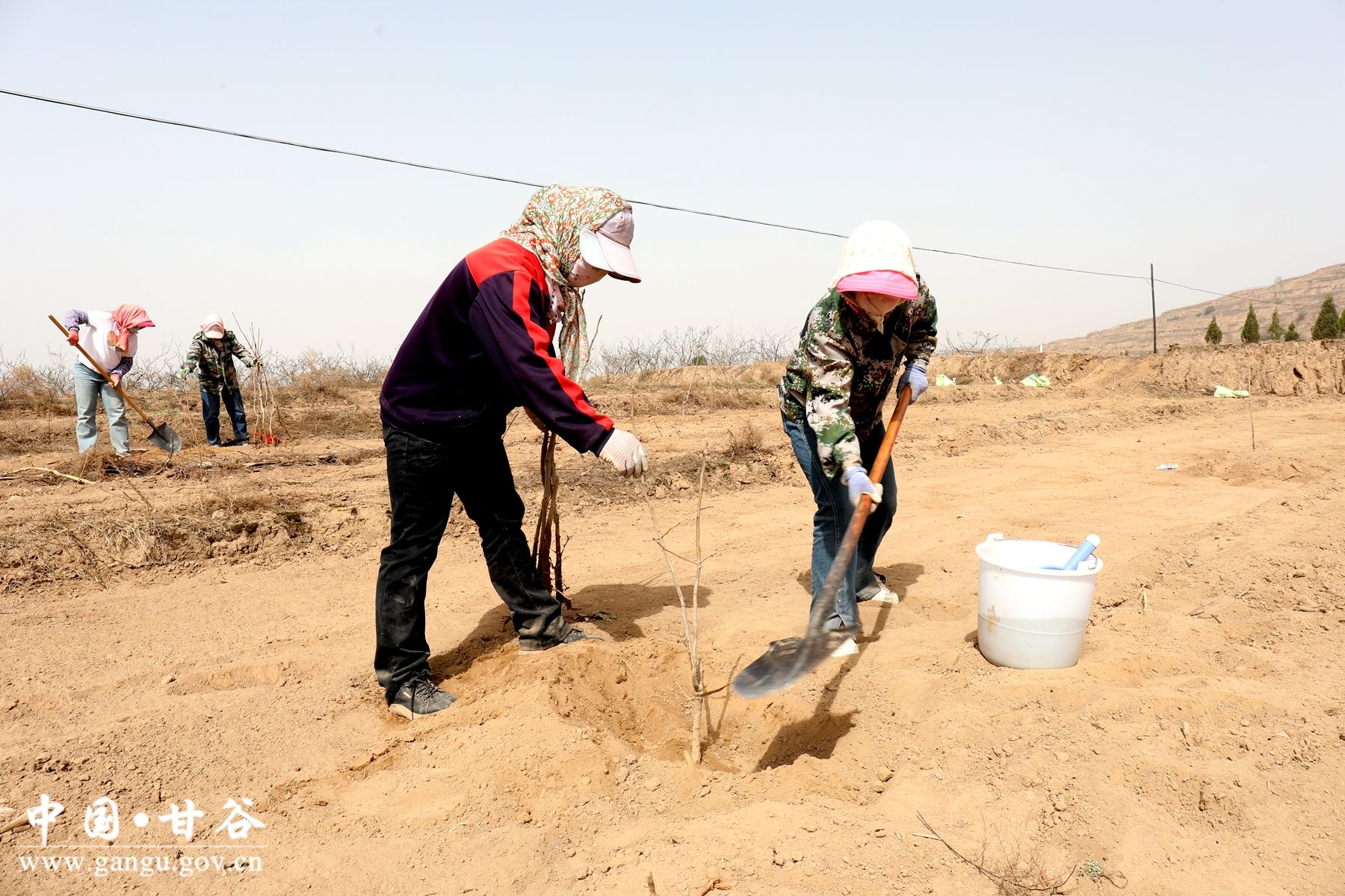 5c8d0104932e6d5f8cae722b1085c4c 5c8d0104932e6d5f8cae722b1085c4c