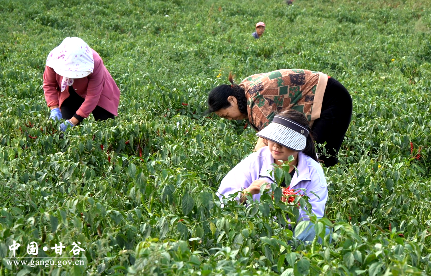 3b523634df13930164c1bf9cf2687af 3b523634df13930164c1bf9cf2687af