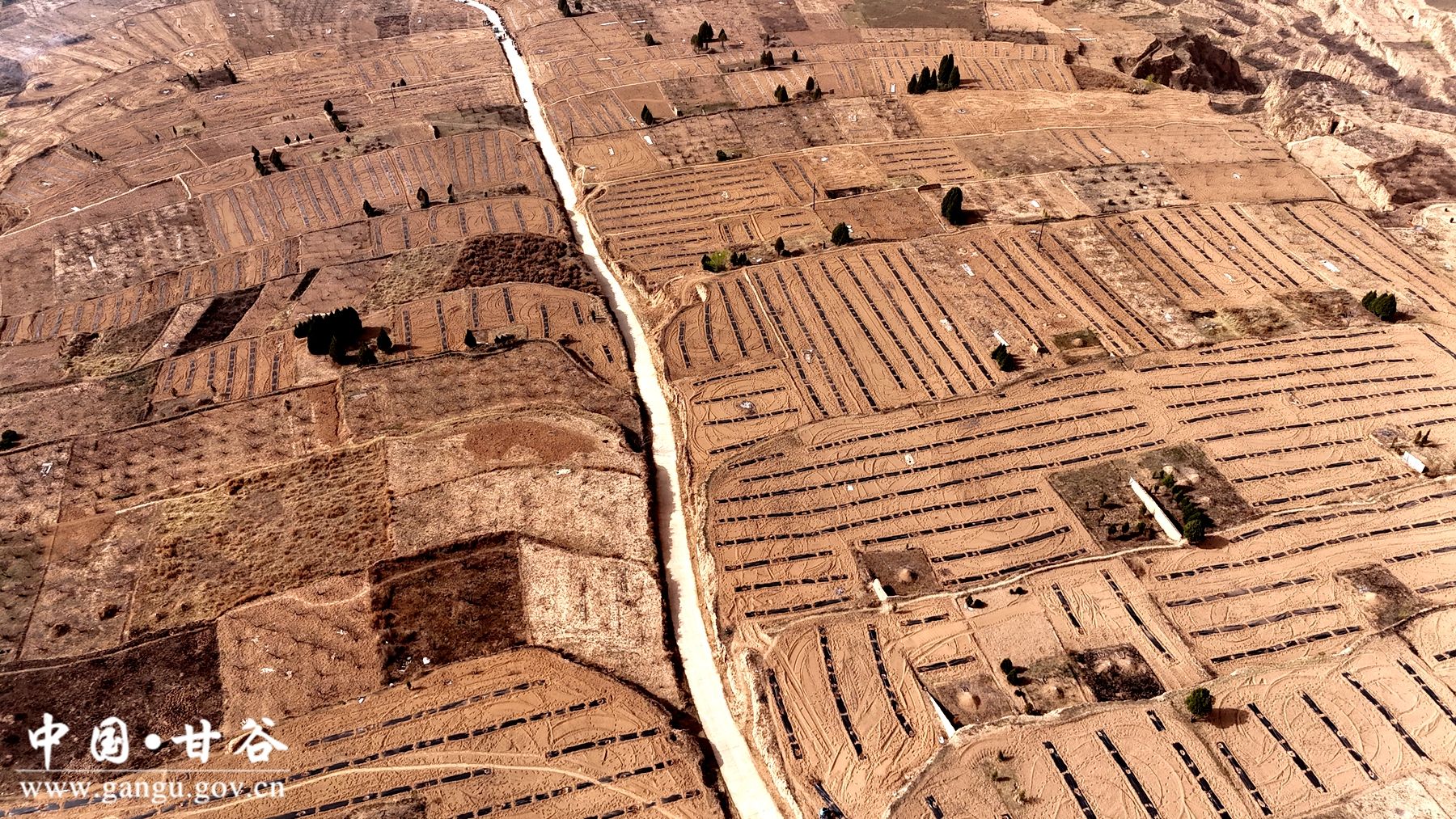 DJI_20250409095851_0085_D DJI_20250409095851_0085_D