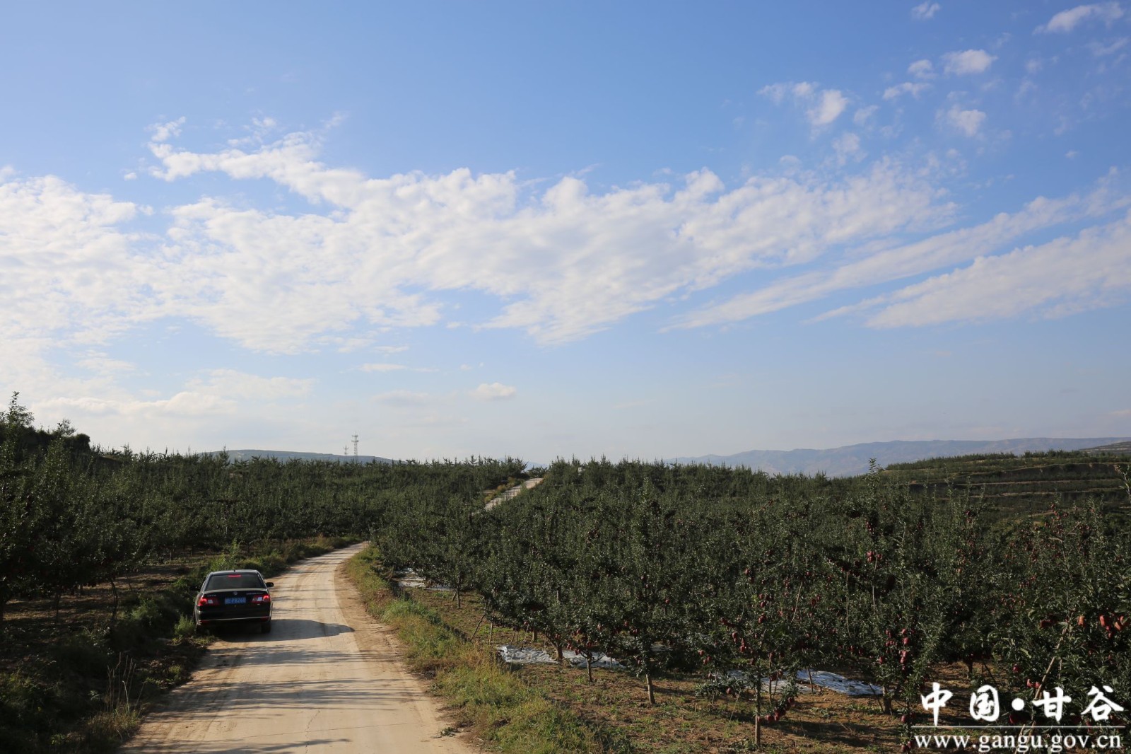 virtual_attach_file virtual_attach_file